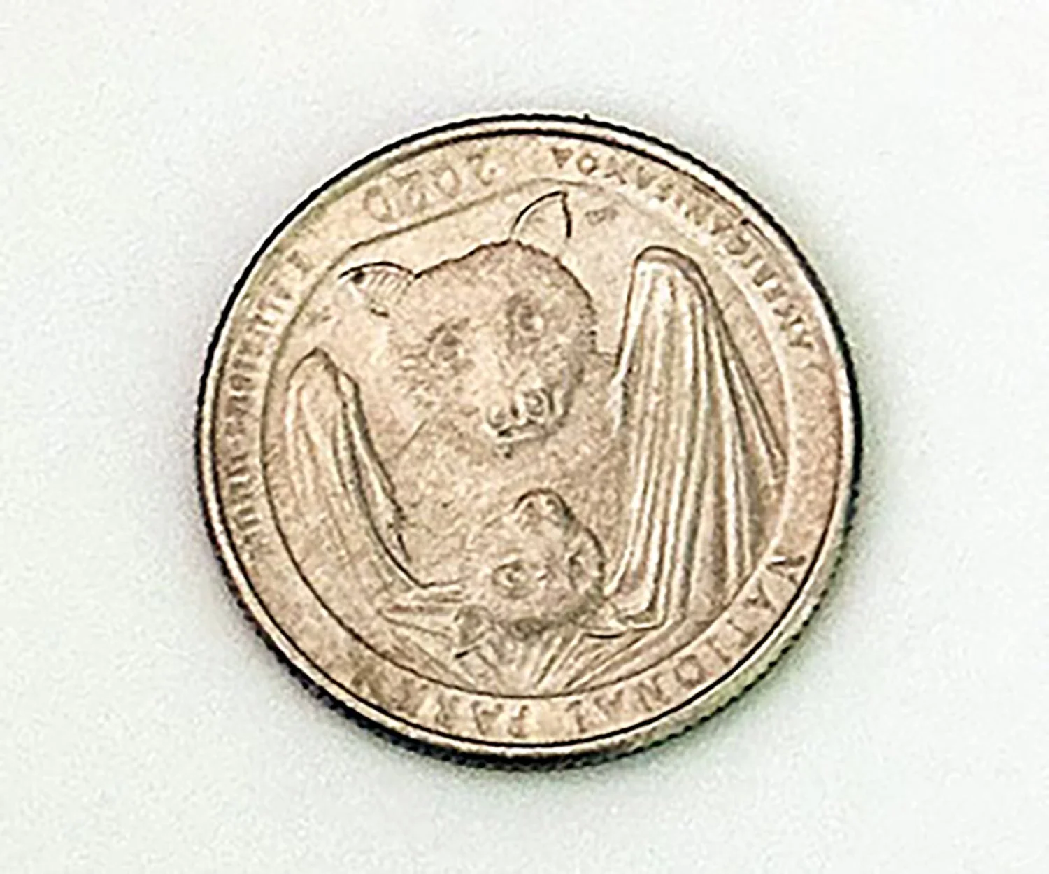 Bat Collection Coin Bat Coin — Peter Hemenway Travels