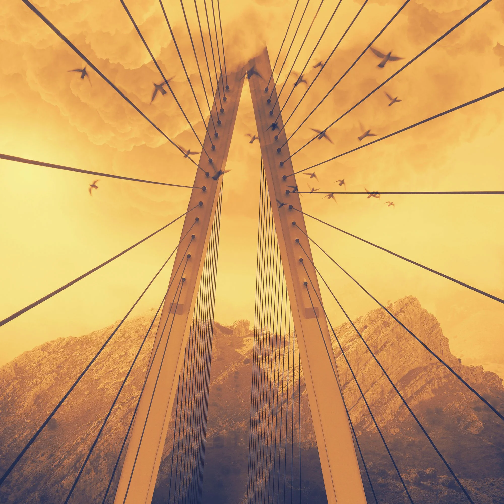 Black Sea Golden Ladder