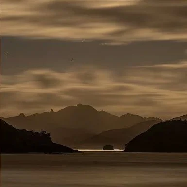 'Hori on a Hoiho' feat Mokomokai