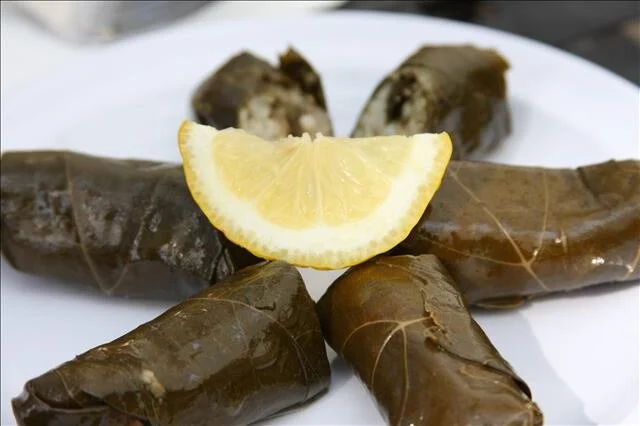 Dolma