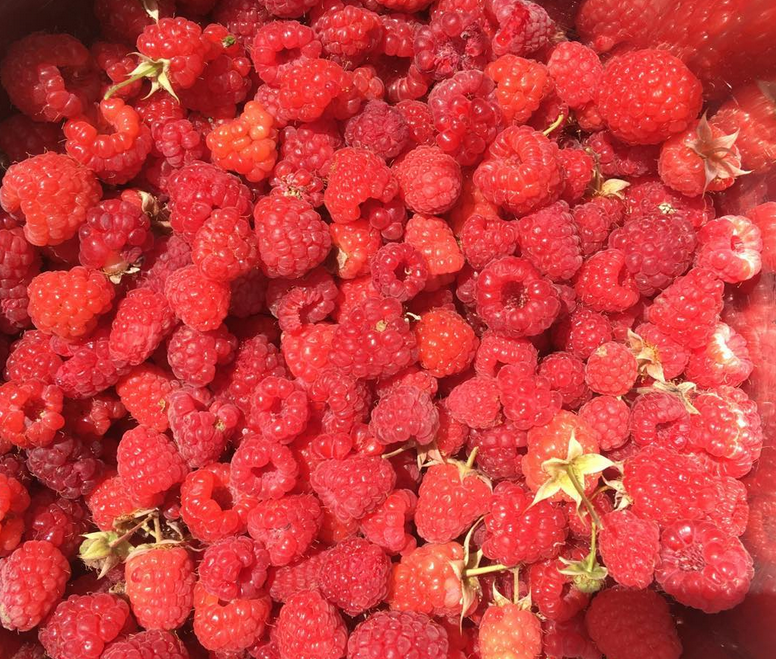 Rasberries.PNG