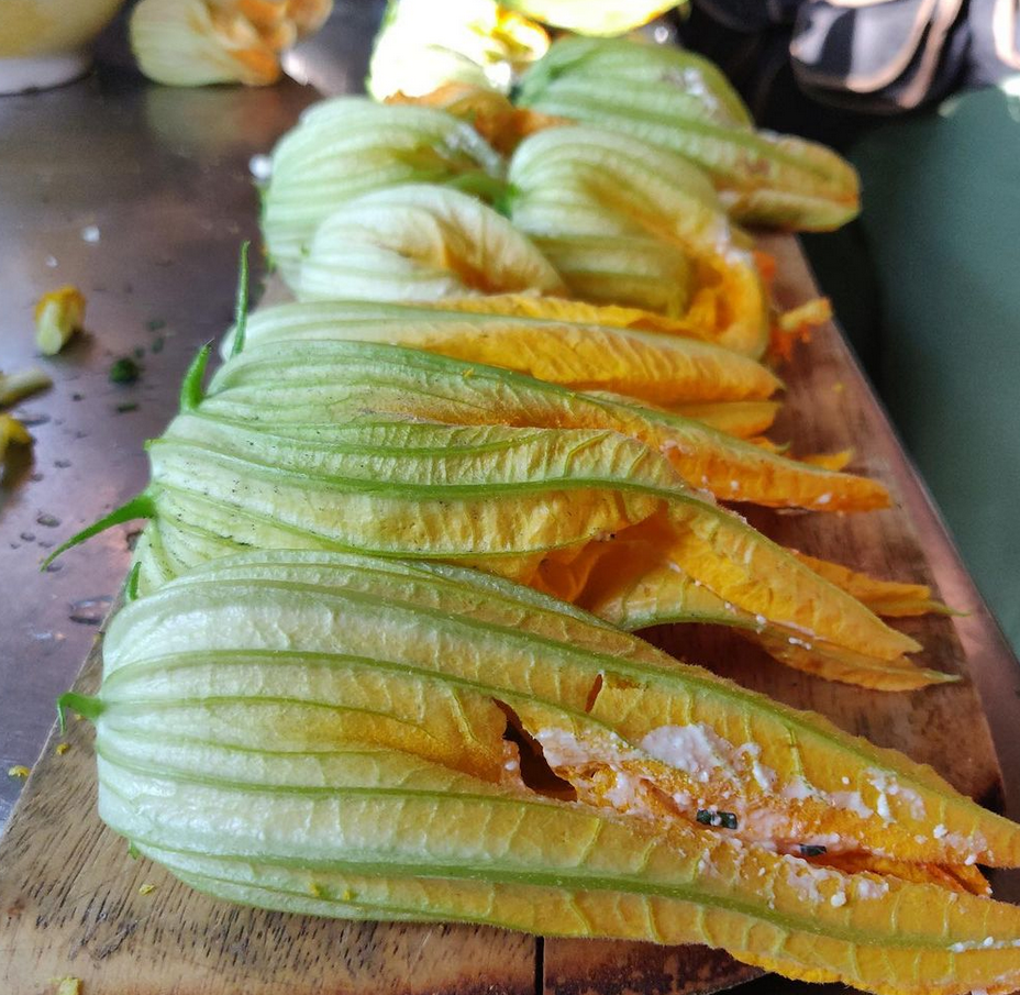 Zucchini Flowers.PNG