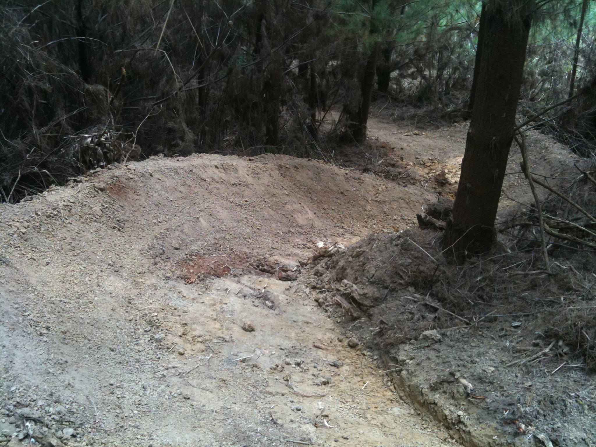 Trail adventures to come.