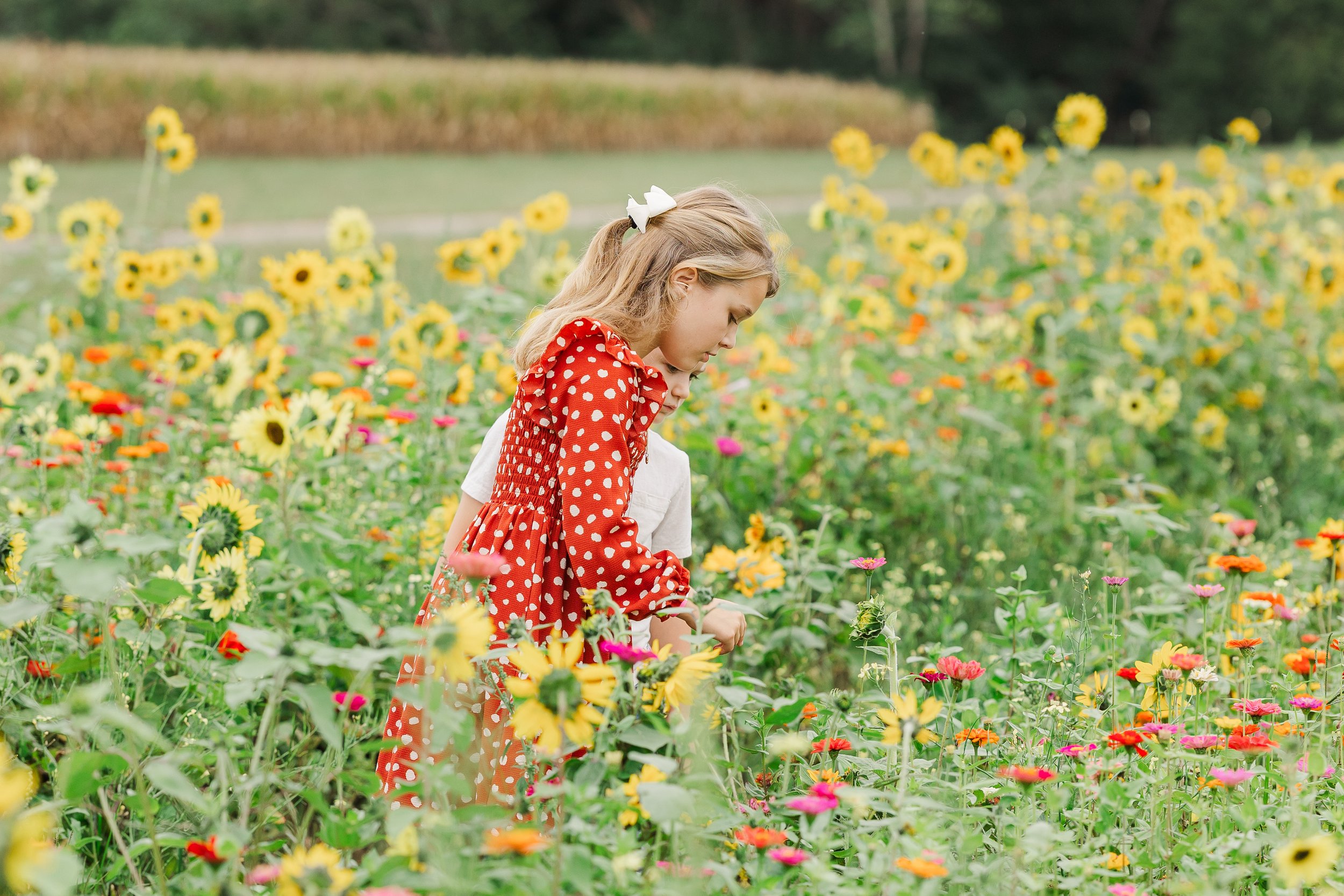 Holly Fork Farm-0205.jpg