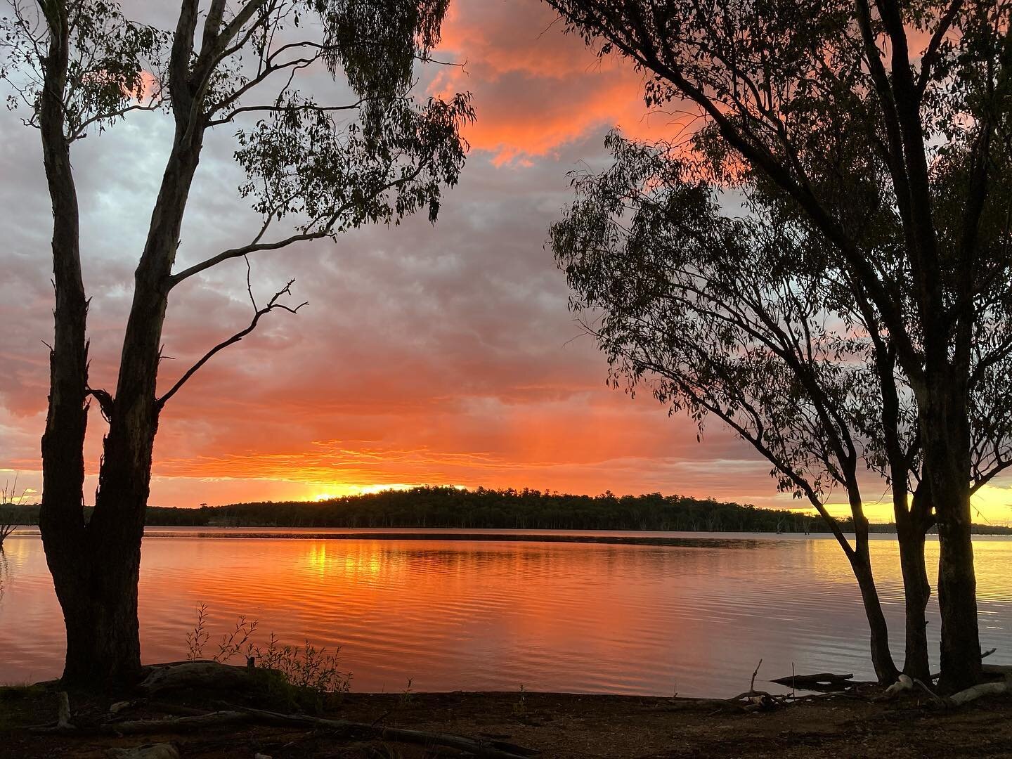 Another beautiful afternoon here #photography #camping #relax #birdphotography #birds 
Where you will find CCCafe open from Thursday to Monday