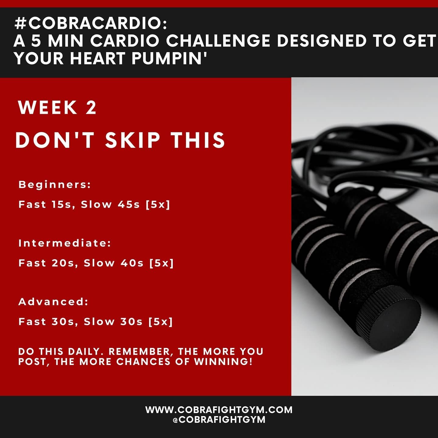 #CobraCardio Week 2 is here! Join our skipping challenge and win a free private class with Coach Jai!

Post your workout selfie / video and tag @cobrafightgym to win! Winner chosen on Tues 1 Sep.

 Swipe for contest rules ➡️
.
.
.
#cobrafightgym #sin