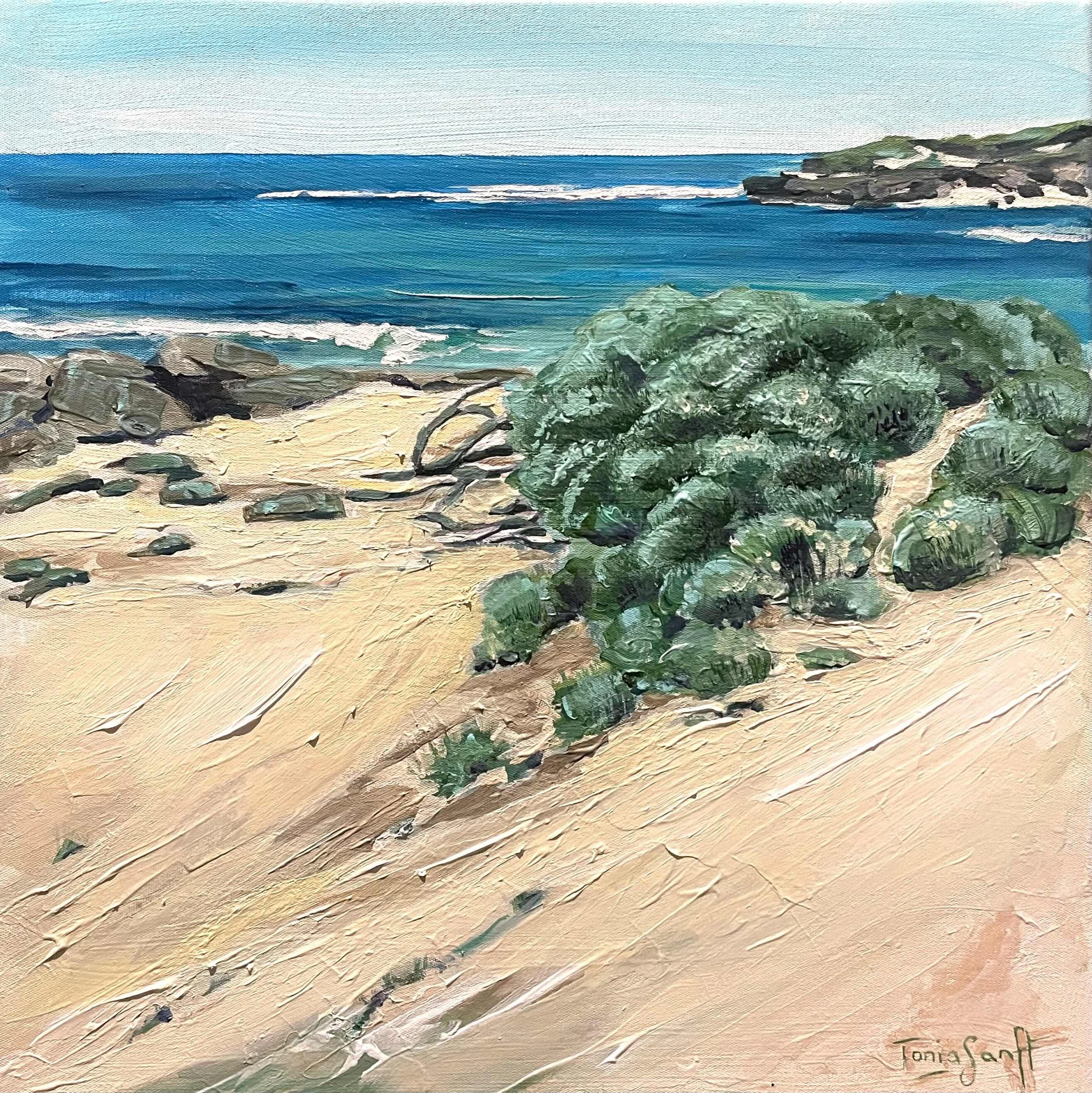 Where the Sand Meets the Sea