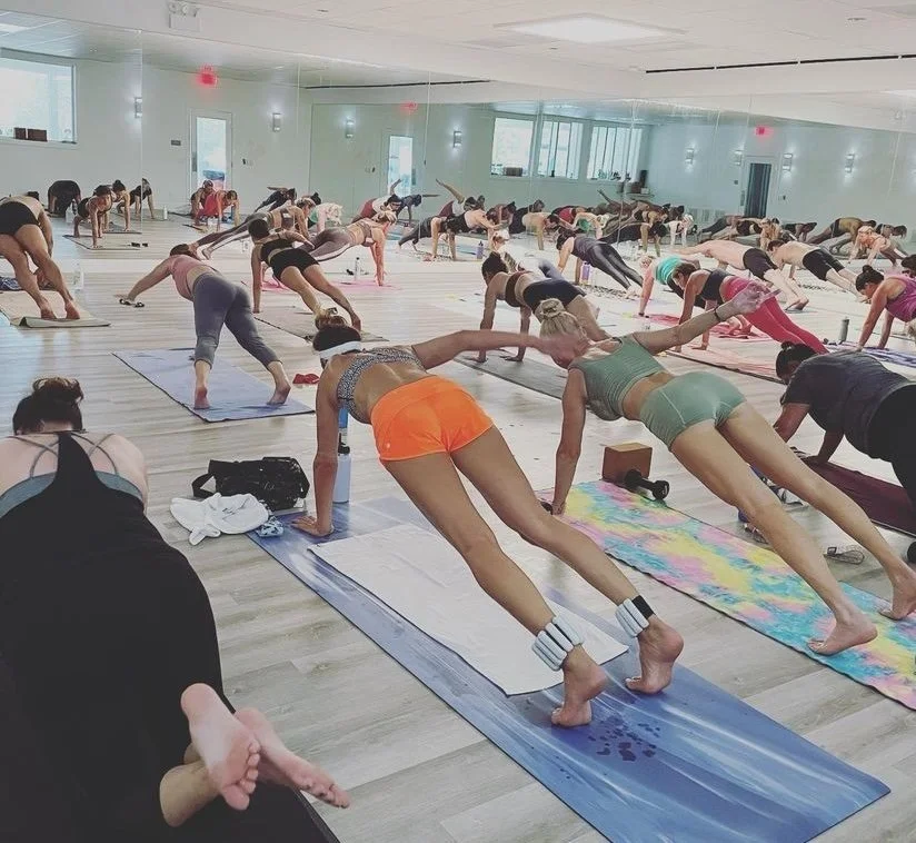 Schedule Now — Laura Oronzi Yoga & Fitness