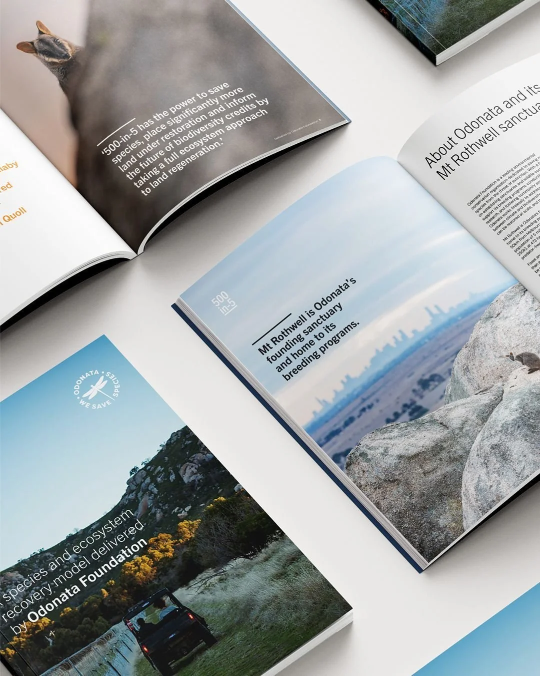 3 of 3 The @odonata_foundation is an Australian environmental conservation charity focused on species preservation.
We collaborated with the team to completely refresh their visual identity, transforming the central dragonfly motif into a contempora