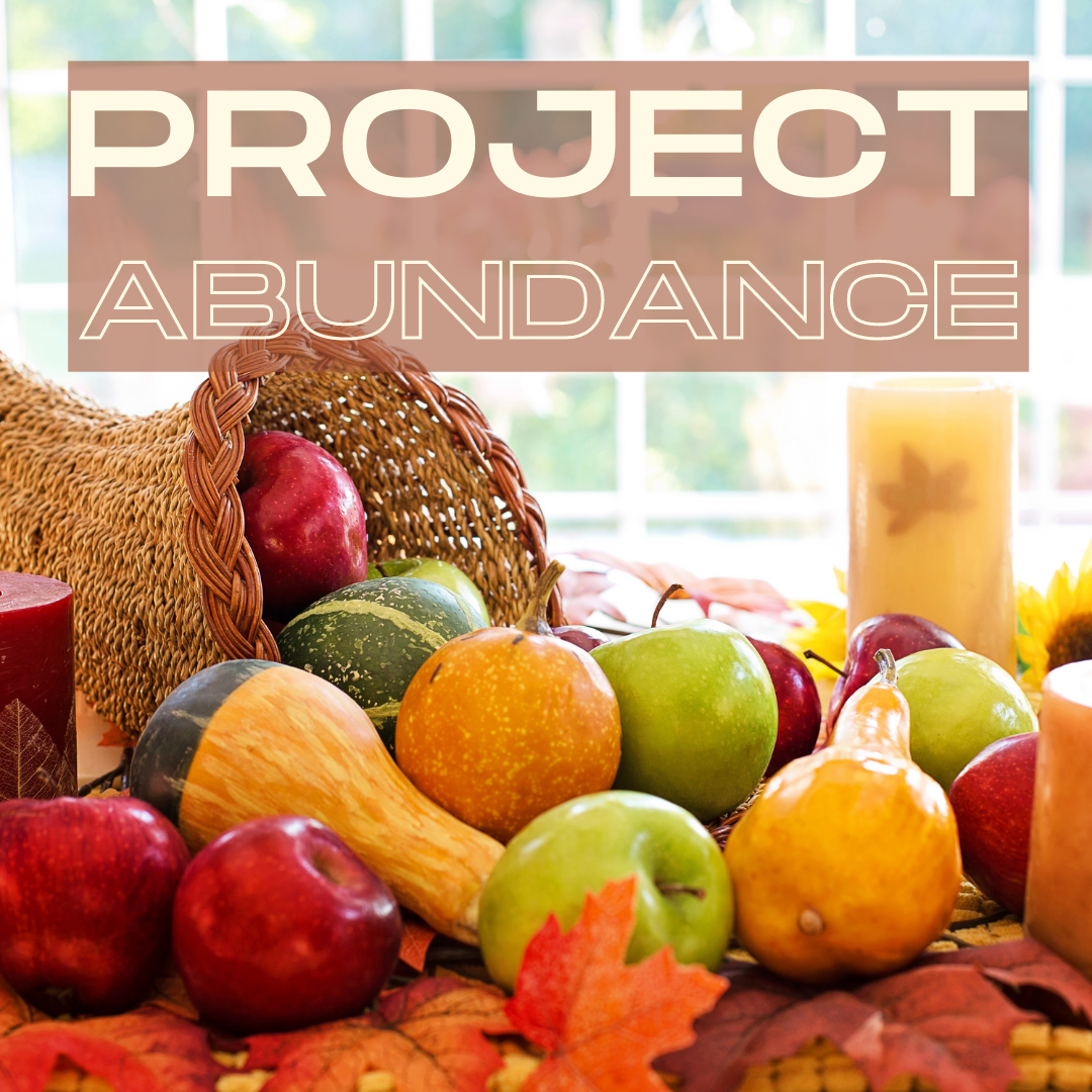 Express God's Gratitude through Project Abundance
