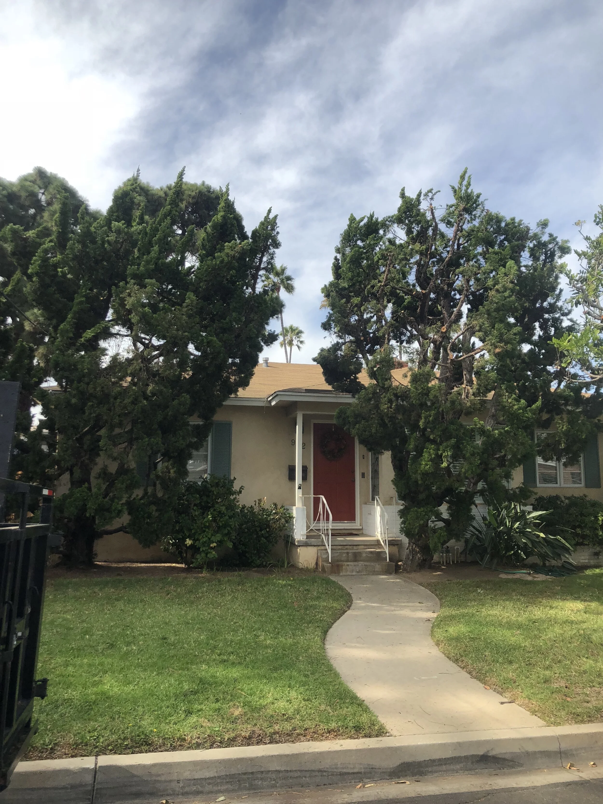 Ocean Beach Arborists gallery 9