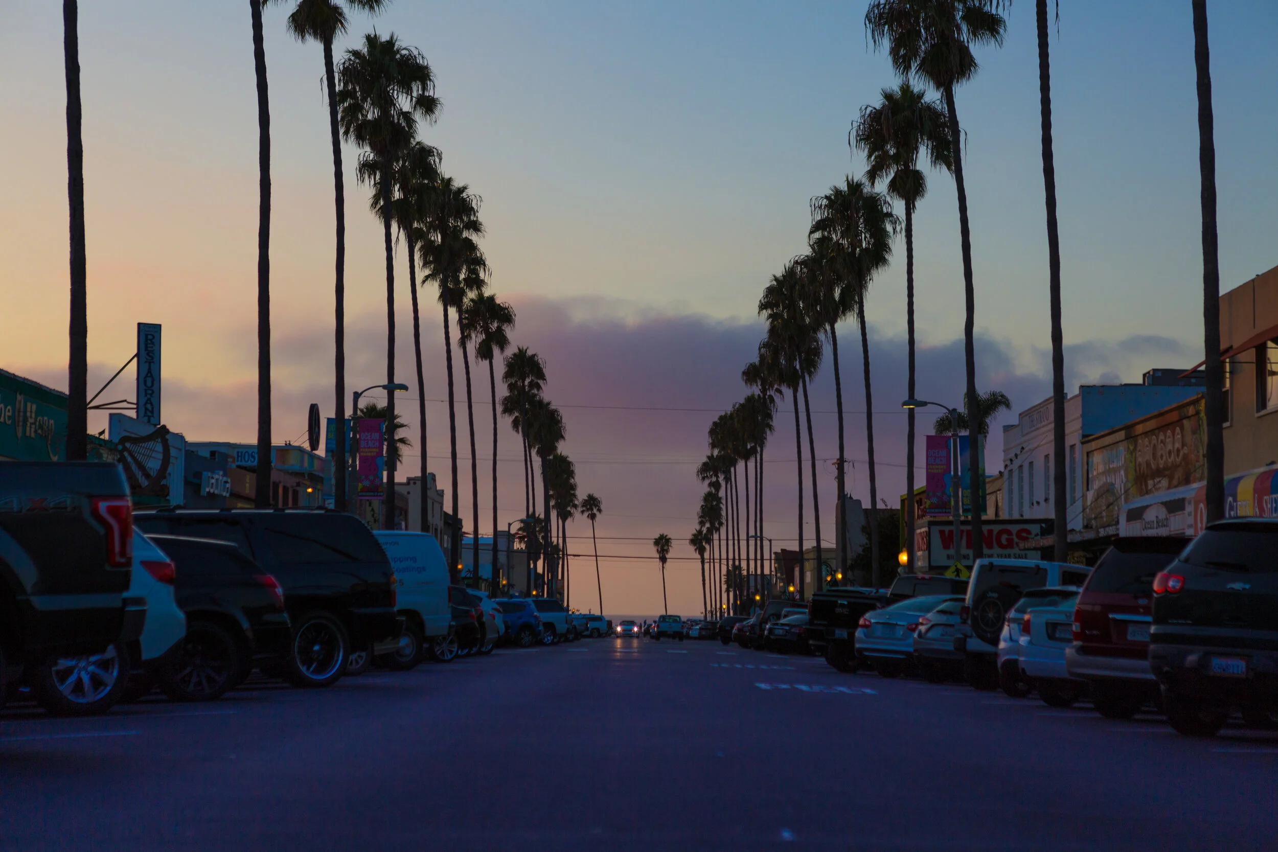 Ocean Beach Arborists gallery 3