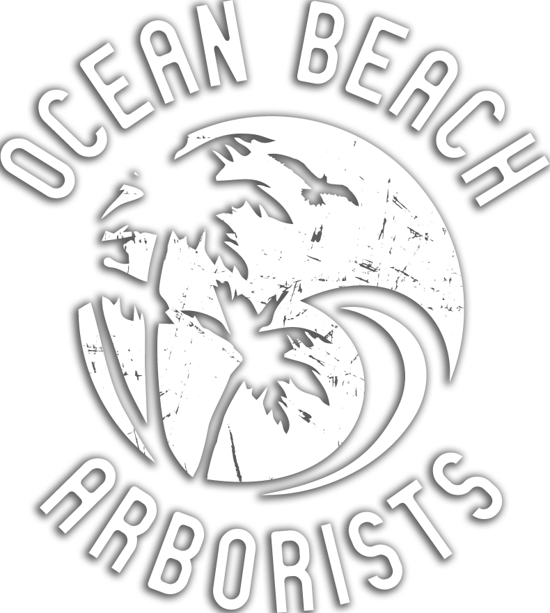 Ocean Beach Arborists