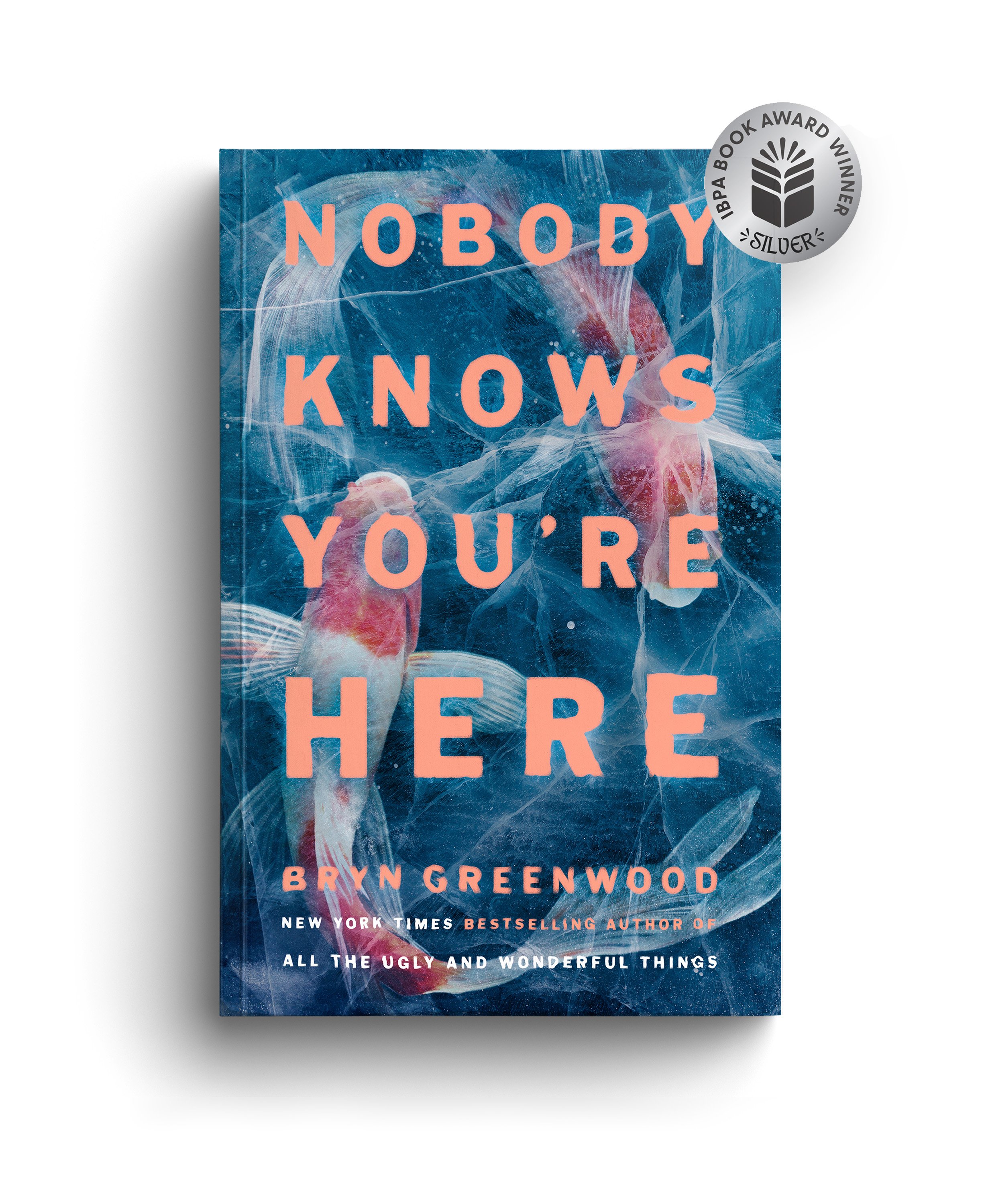 nobody knows you're here mockup.jpg