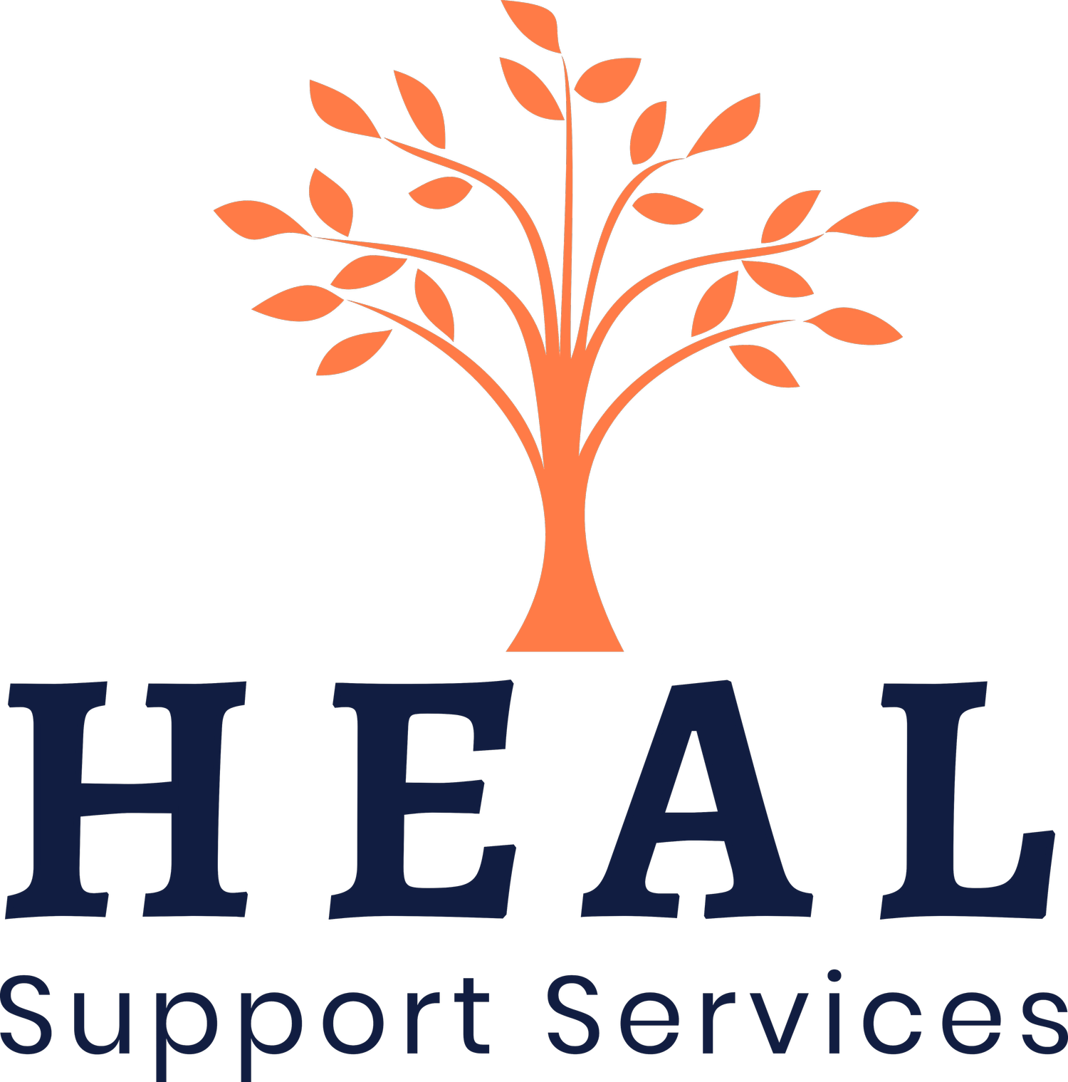 Heal Support Services