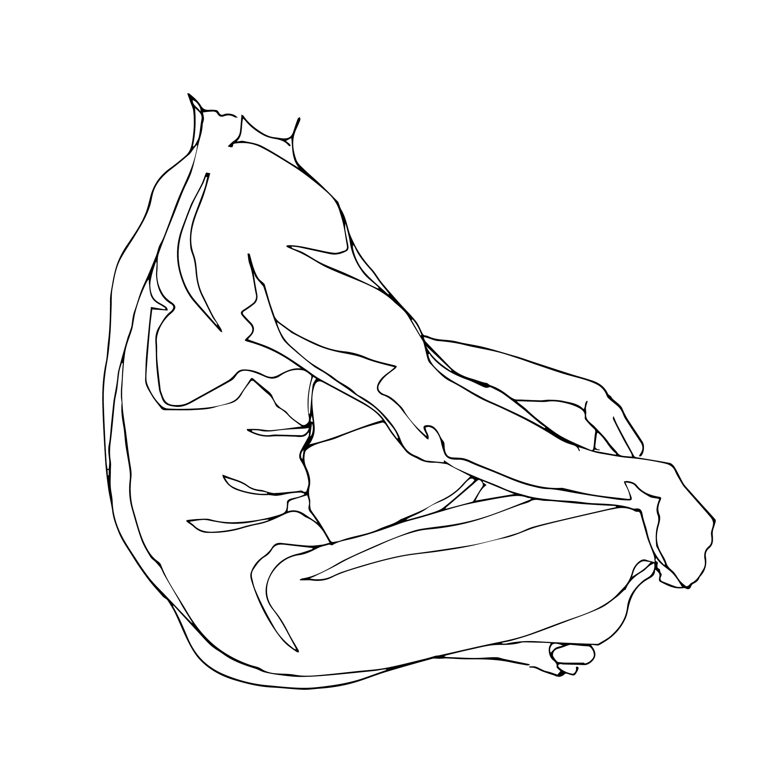 Art — Line Study Studio