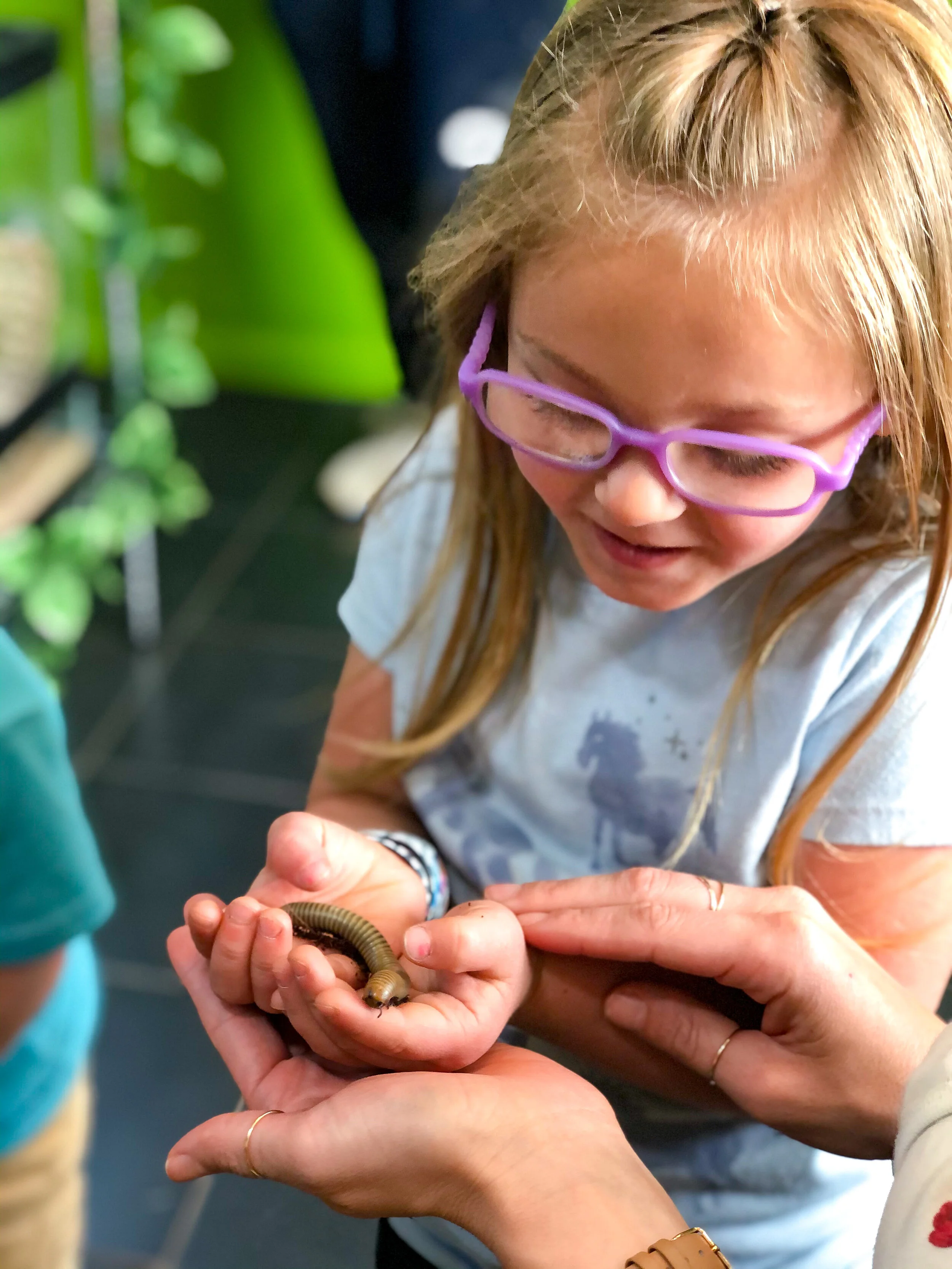 Lizard's for Kids & More, Glendale, Arizona — Discover Phoenix West Valley