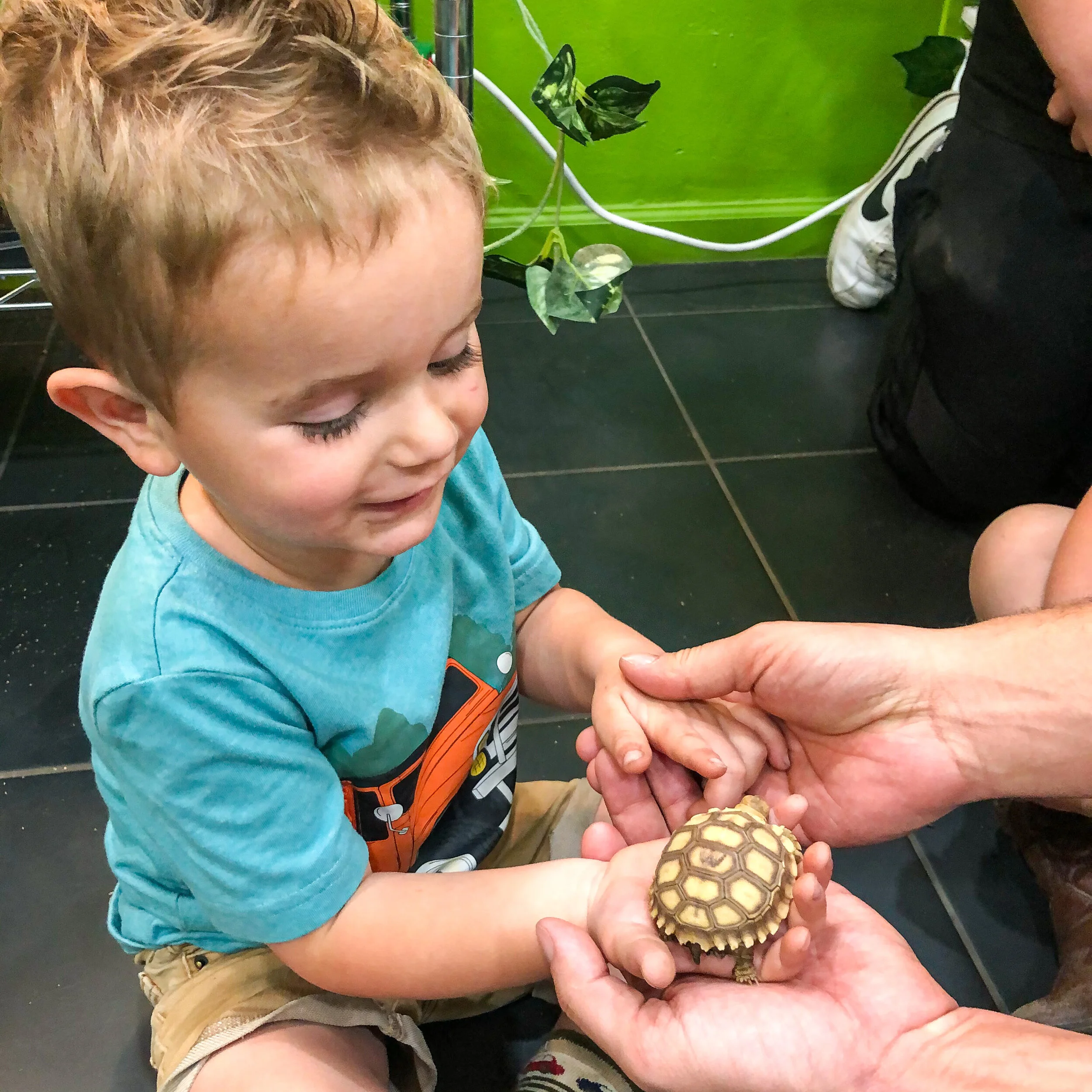 Lizard's for Kids & More, Glendale, Arizona — Discover Phoenix West Valley