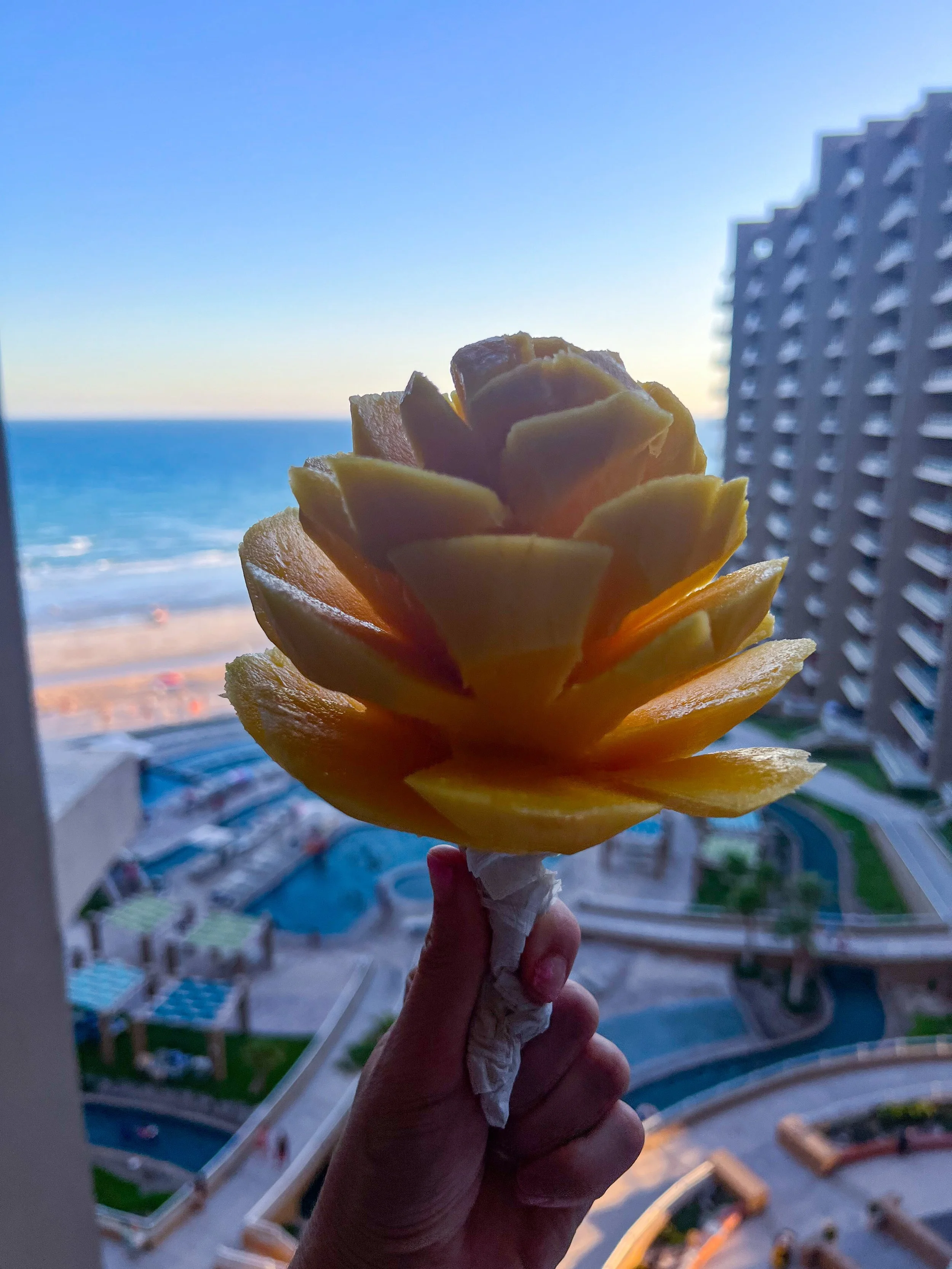 What to Know Before you Visit Rocky Point, Mexico — Discover Phoenix