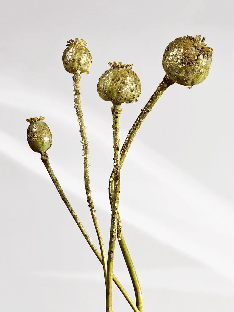 Allure_Reporter3 copy.jpg