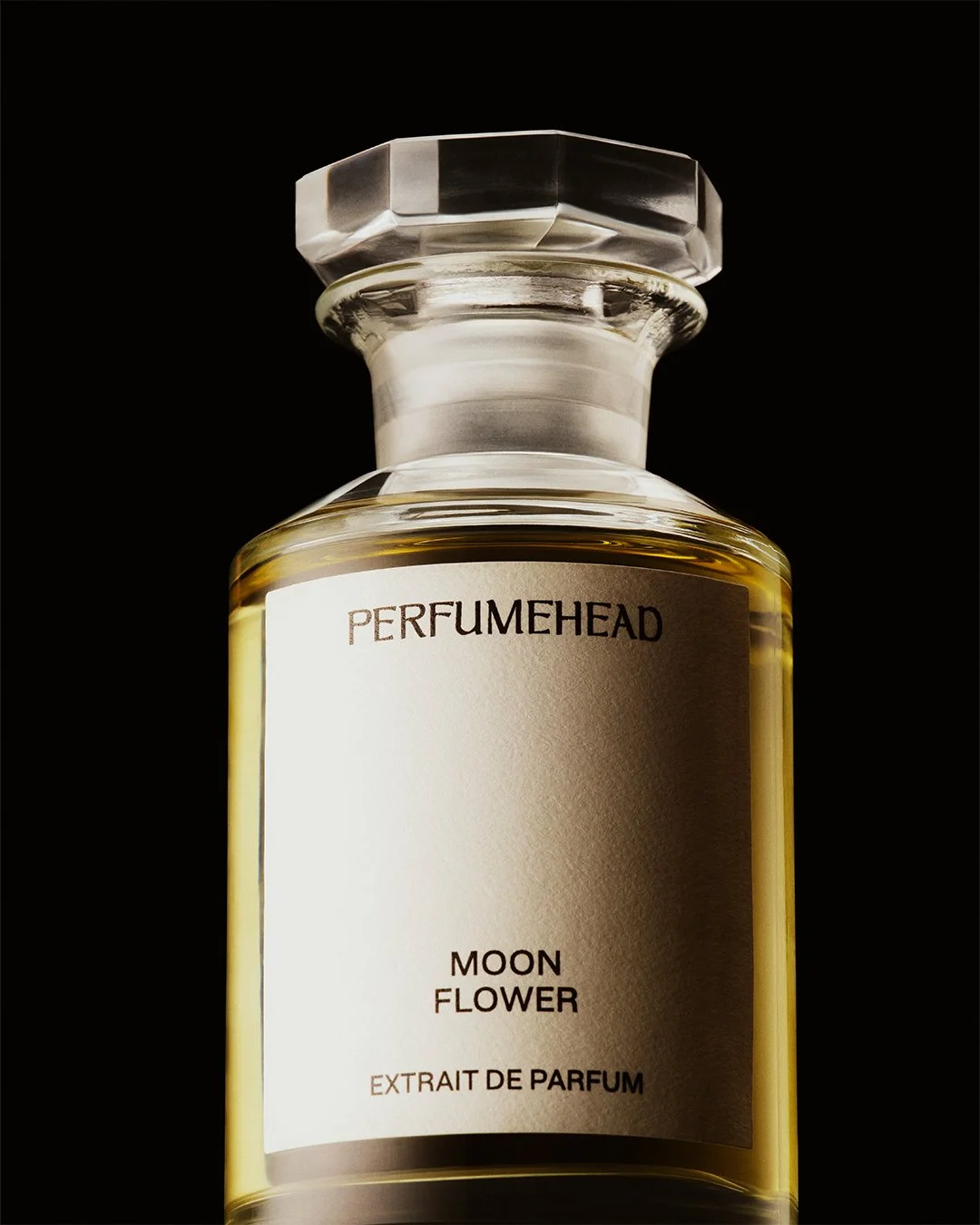 VIOLETGREY_HOLIDAY2022_PERFUMEHEAD_4x5.jpg