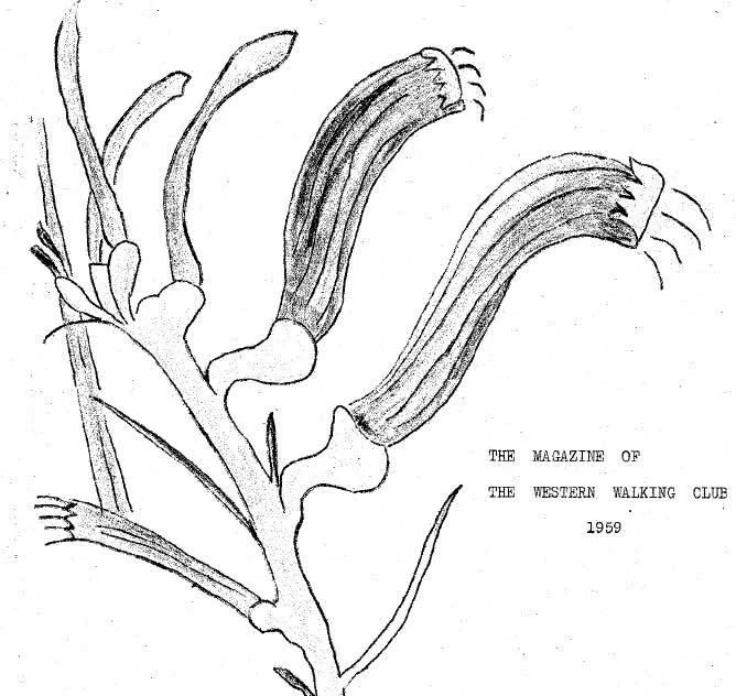 1959