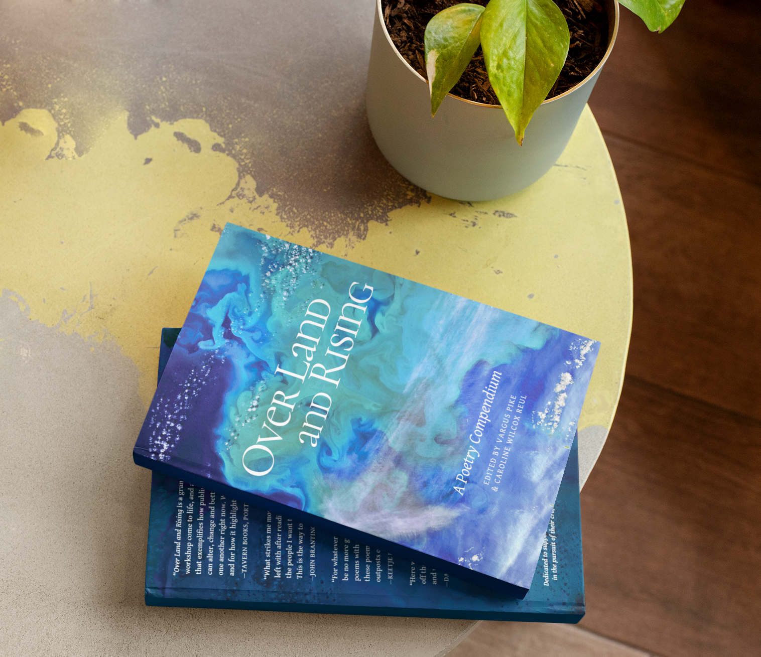 mockup-of-two-hard-cover-books-on-a-table-next-to-a-plant-30917.png