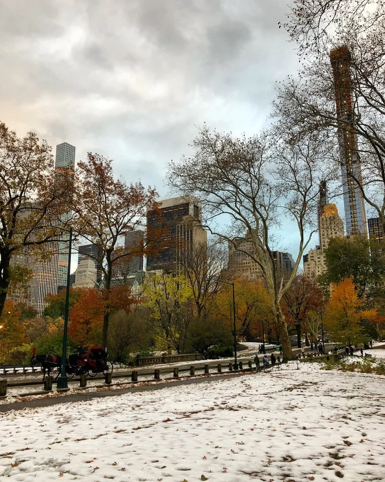 centralpark5.jpeg