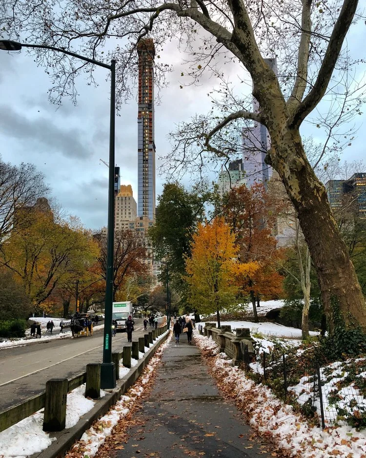 centralpark4.jpeg