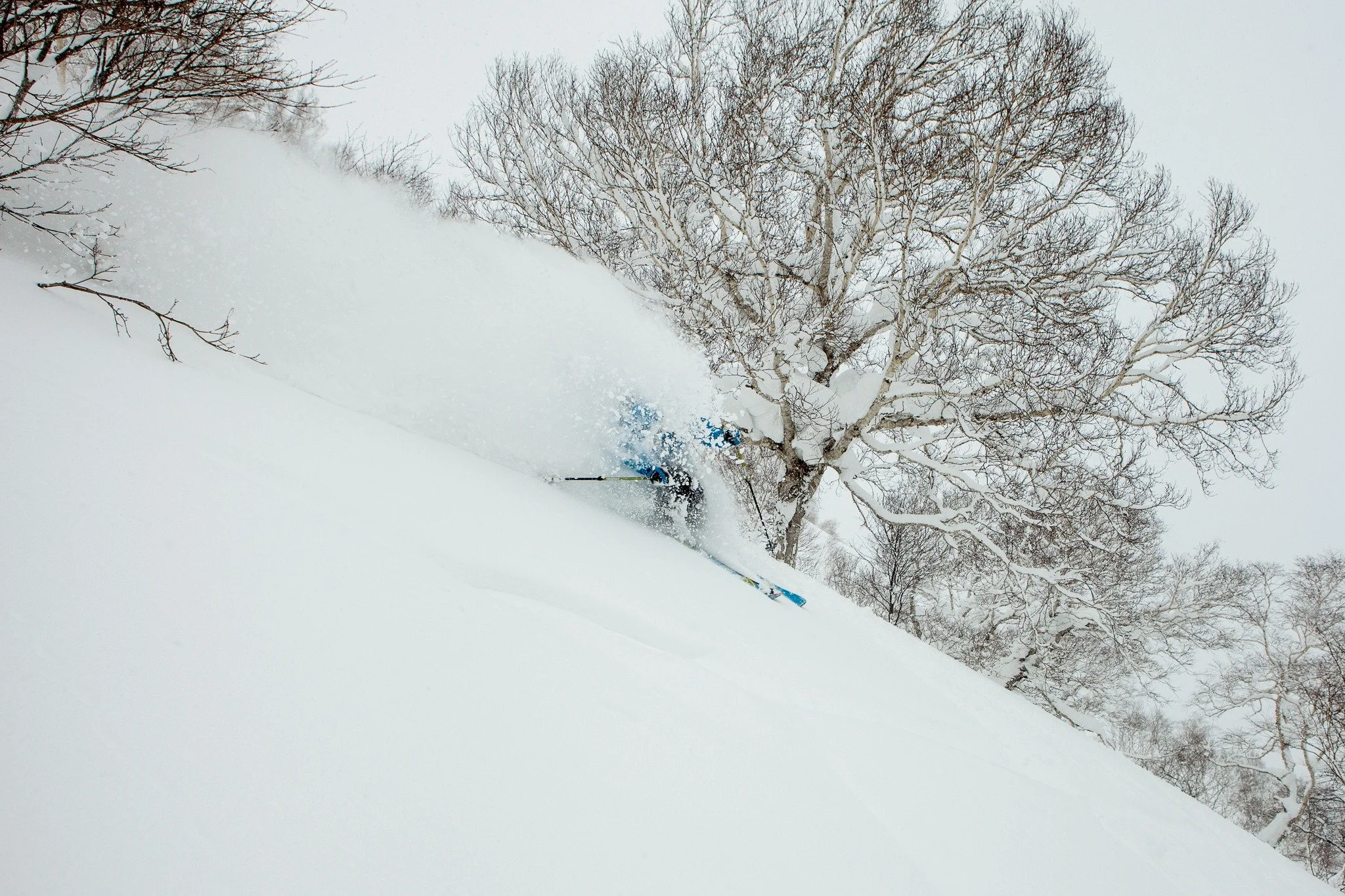 Niseko is calling&mdash;and it&rsquo;s all about the powder. 

Japan&rsquo;s fastest-growing ski destination is famous for bottomless turns, hidden valleys, and some of the lightest snow on Earth. You could spend hours researching resorts, hotels, an