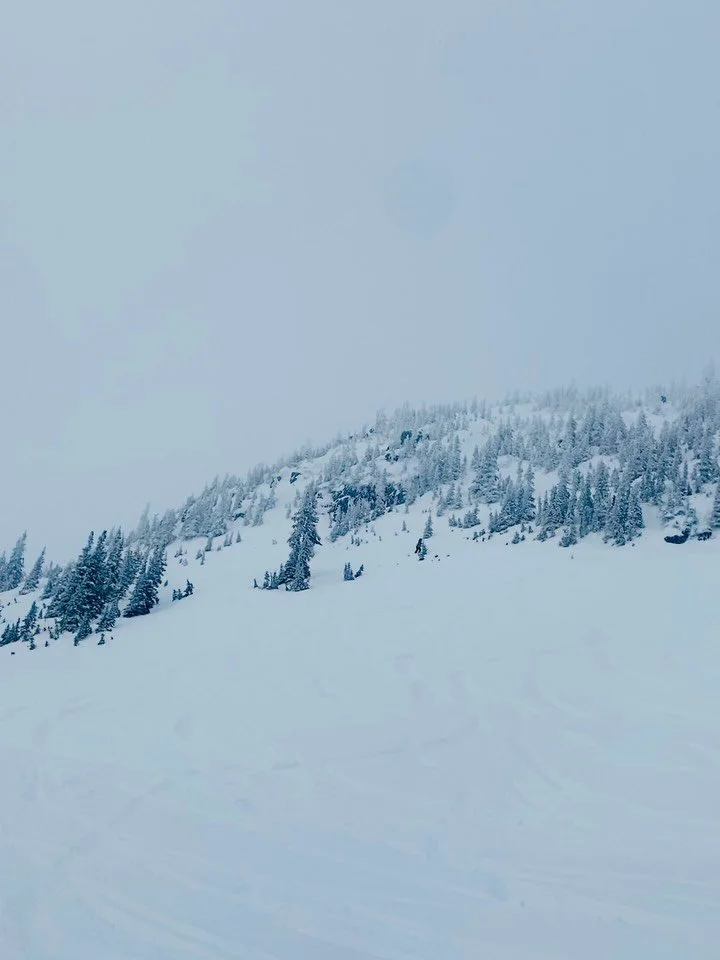 Some gifts come in boxes with ribbons and bows. 
Ours came in an impressive storm cycle delivering over 4 feet of snow in seven days. 
Whistler&rsquo;s experiencing incredible conditions during this holiday season and we all know the holidays are a t