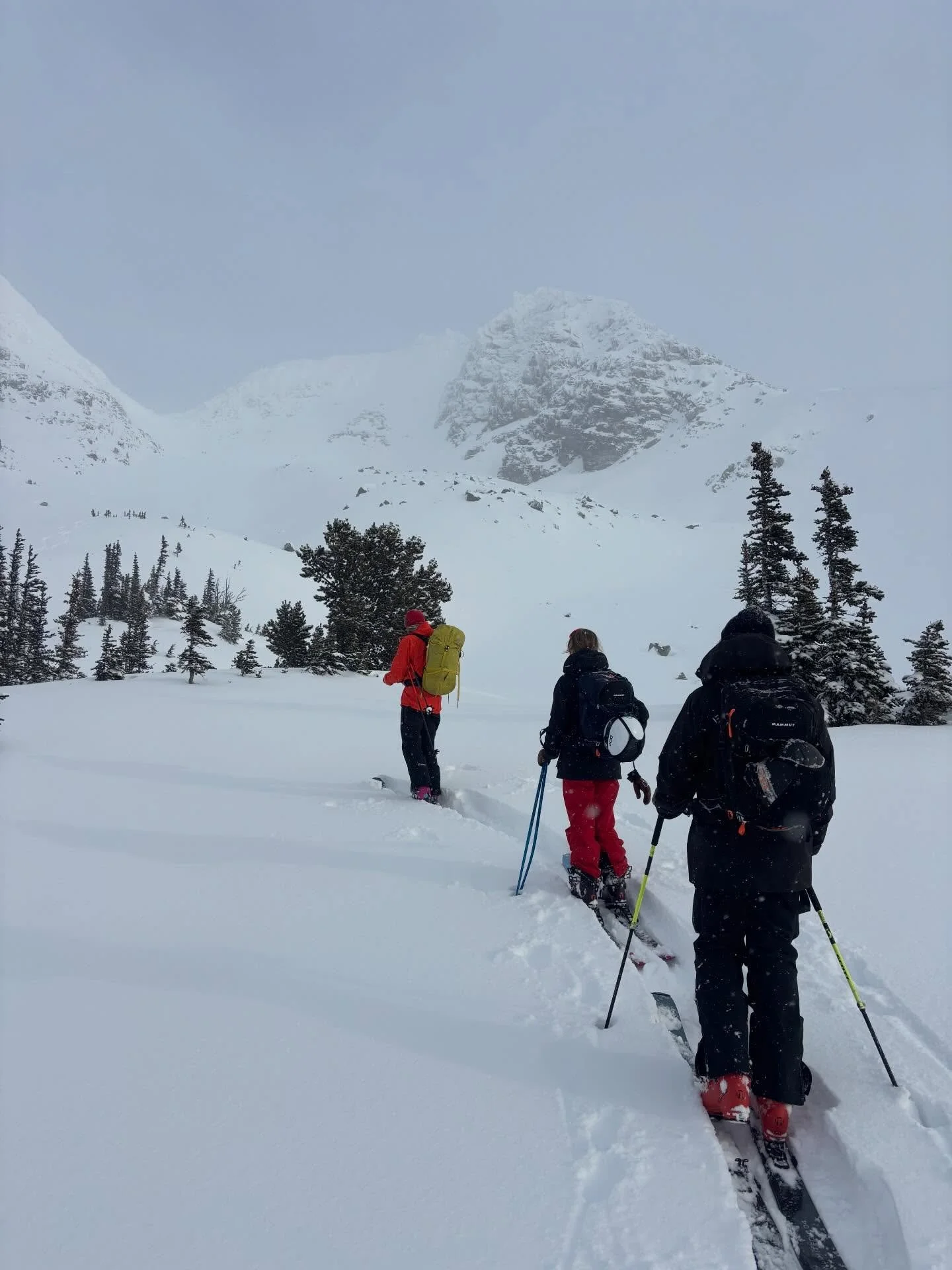 Just saying, this could be you! 

Spend the day crushing the uphill and enjoying the descent. There&rsquo;s truly nothing better than taking in the outdoors and sliding down snow on one or two planks. Join us for either our Intro to Backcountry tour 