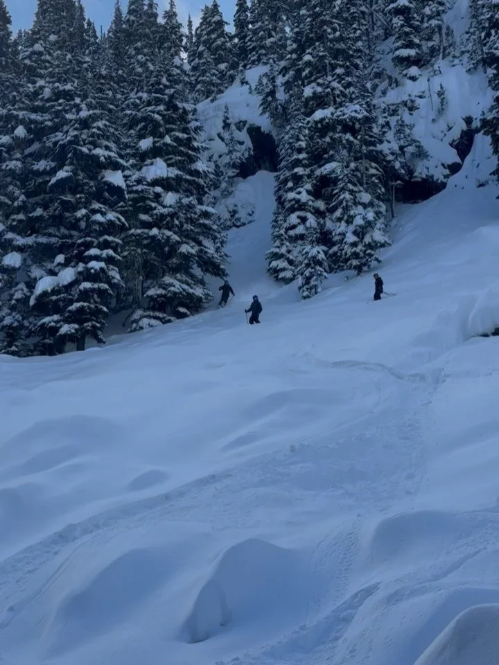 Feb 23, 2026 - WOOOWW a day for the books if we&rsquo;ve ever seen one!!!!

37cm of new snow in 12hrs, sprinkle of sunshine, you&rsquo;re kidding?!? As close to a perfect day as it gets. Staff and guests all getting after it today, we LOVE to see it.