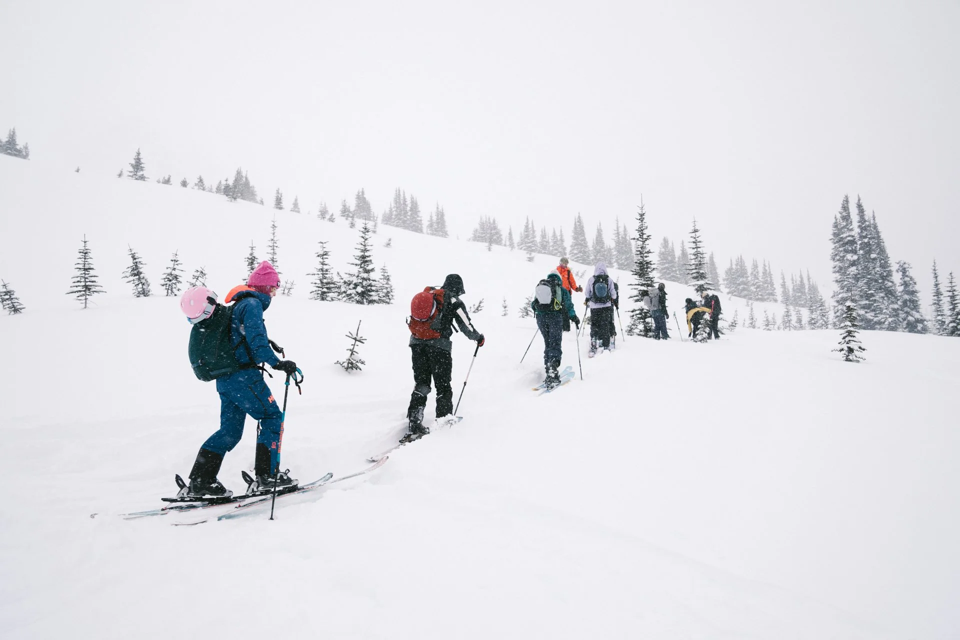 Backcountry Touring Whistler