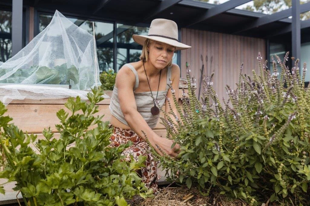 seedblog-lcarvitto32 lo.jpg