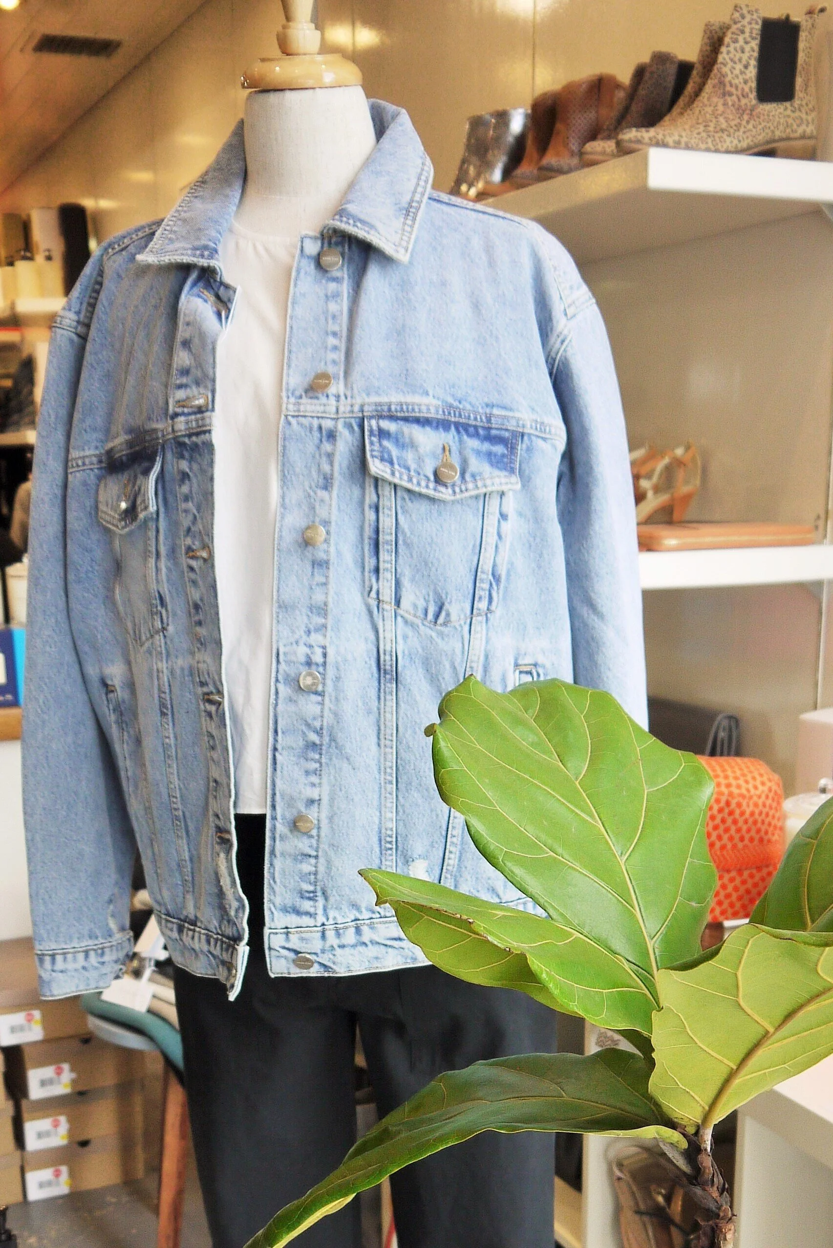 Deluxe_store (6).JPG