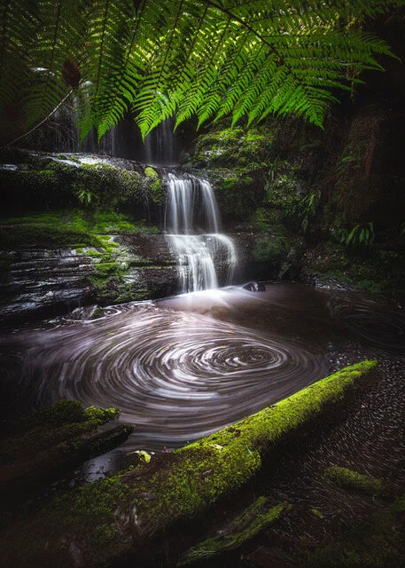 Hidden Waterfall Otways (1).jpeg