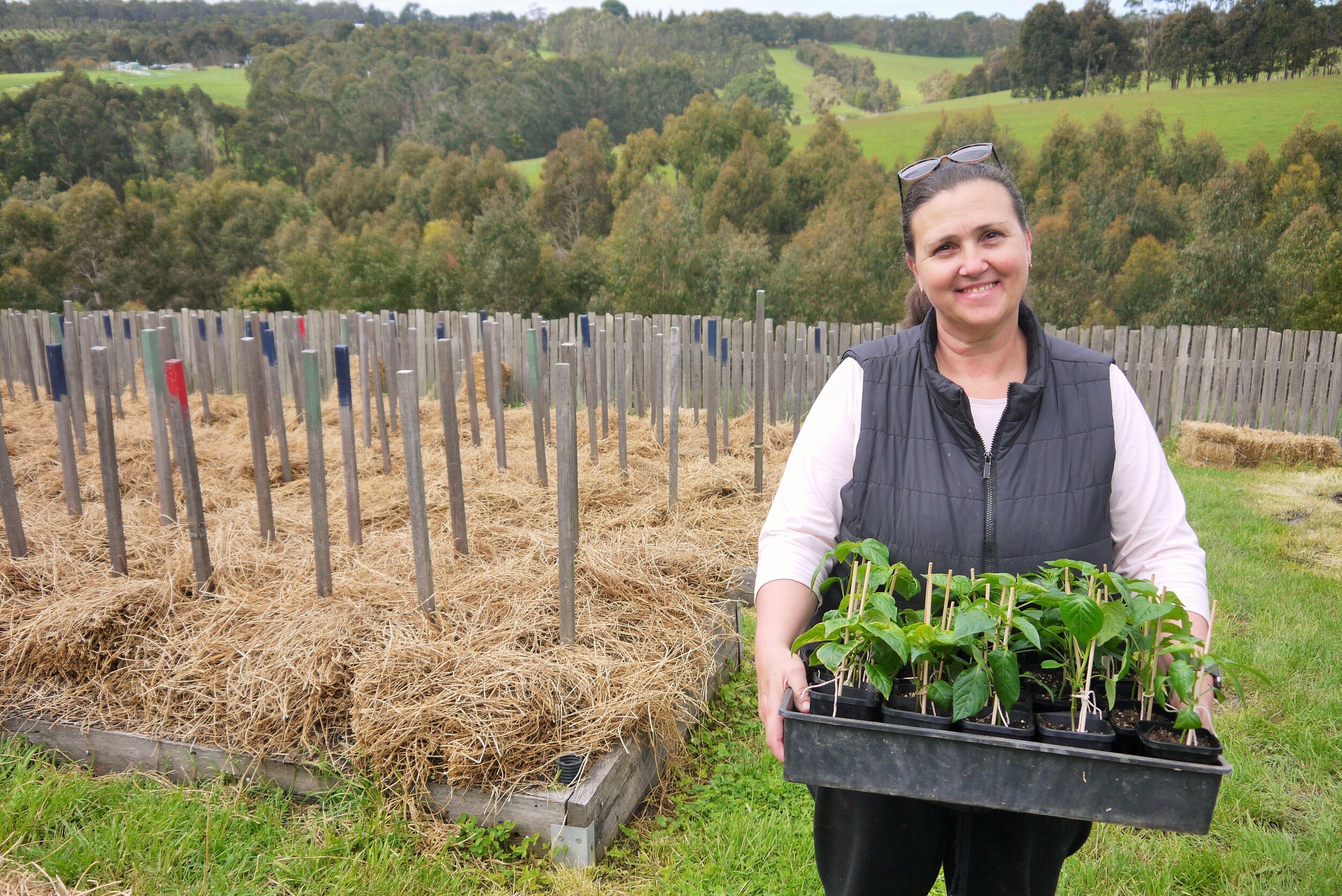 Hot Chilli Mama Sue.JPG