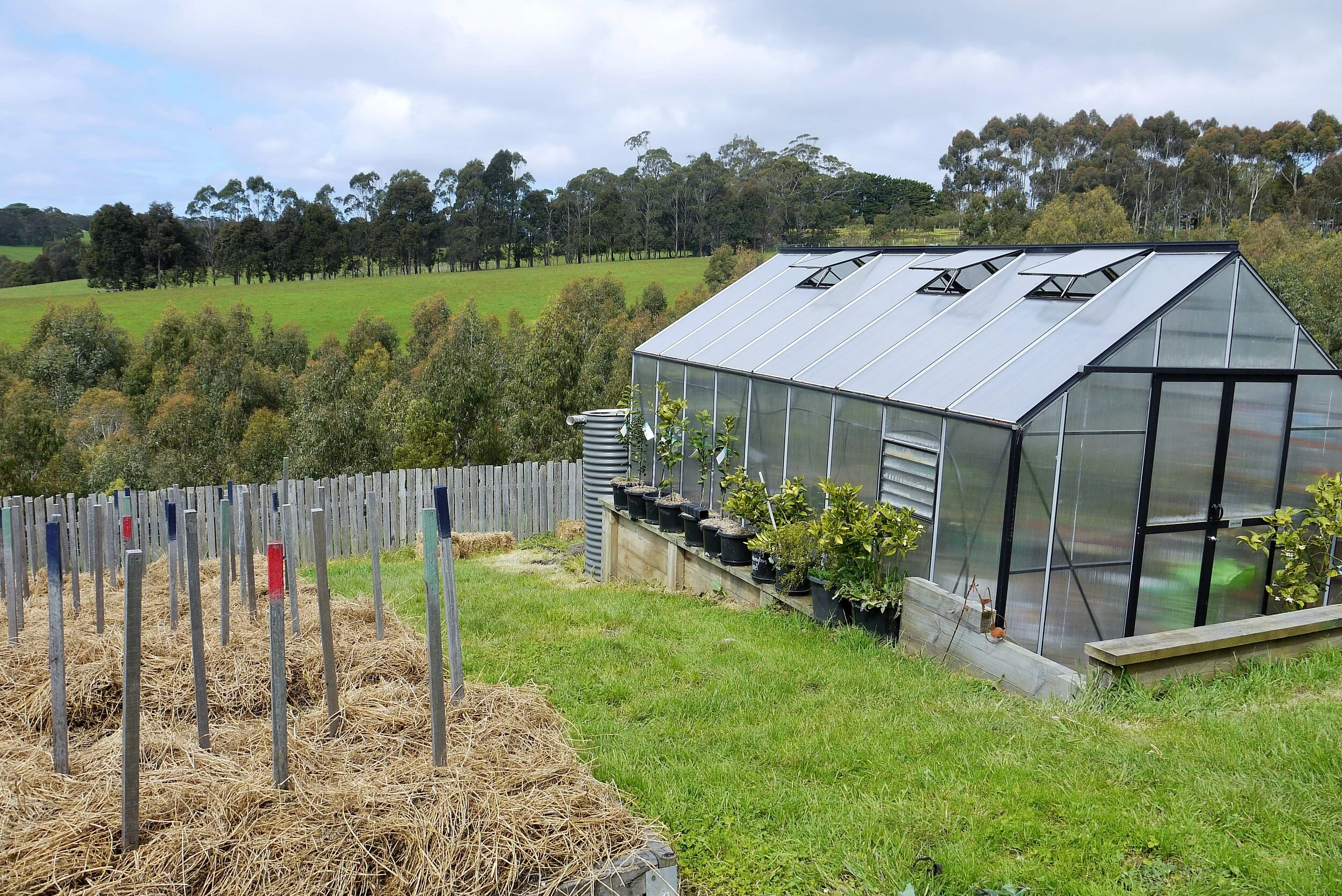 Hot Chilli Mama Farm (1).JPG