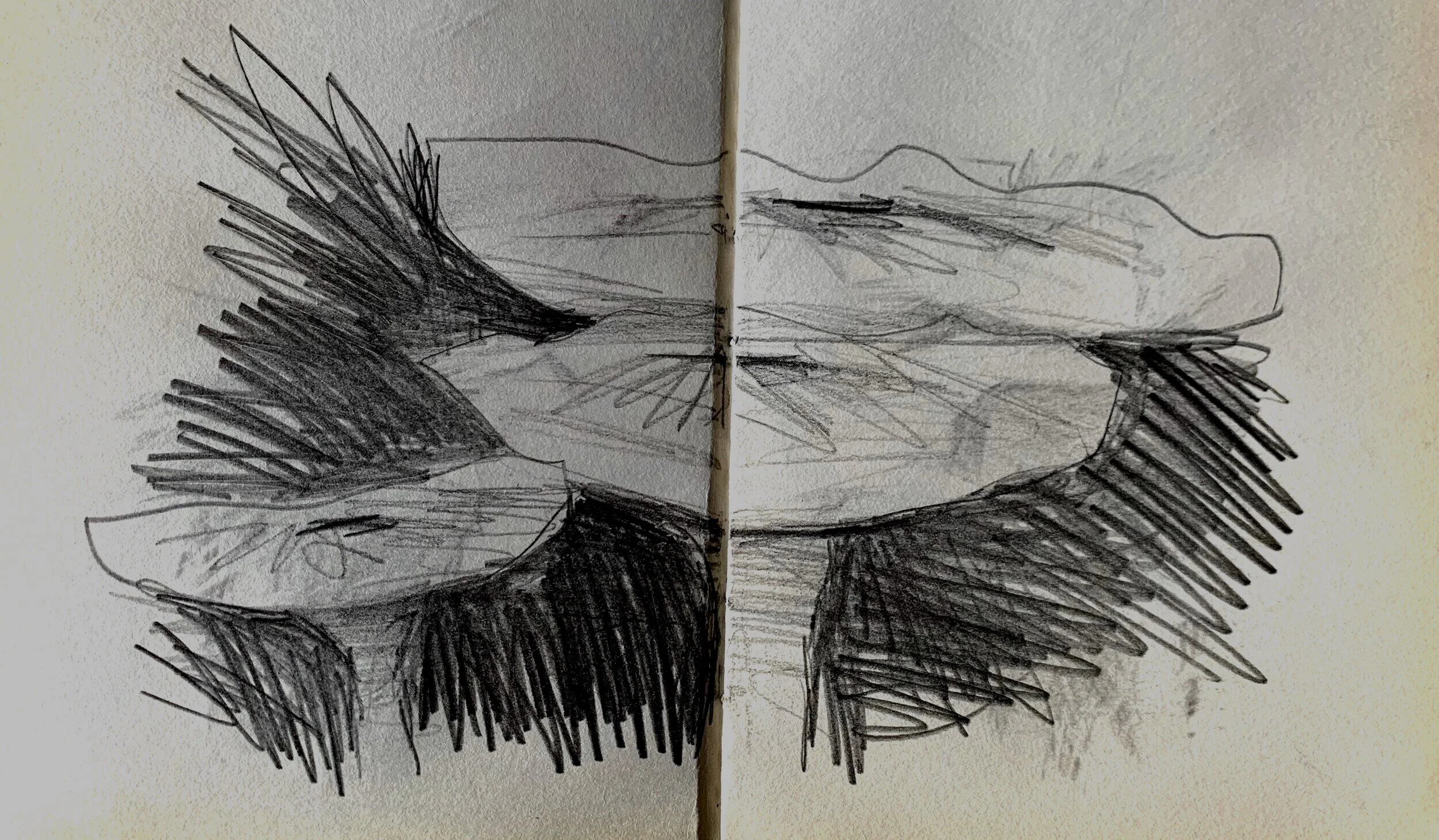 Jo%2BHolt%2BBeholder%2BDrawing%2B6.jpg