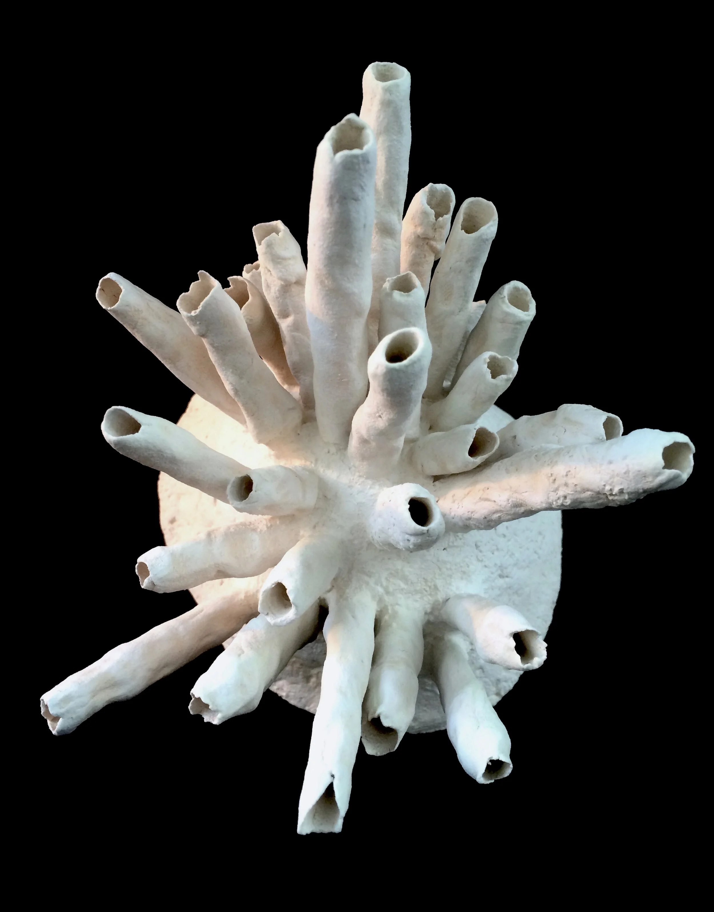 Jo_Holt_Eye of the Beholder 2 - Tubes.jpg