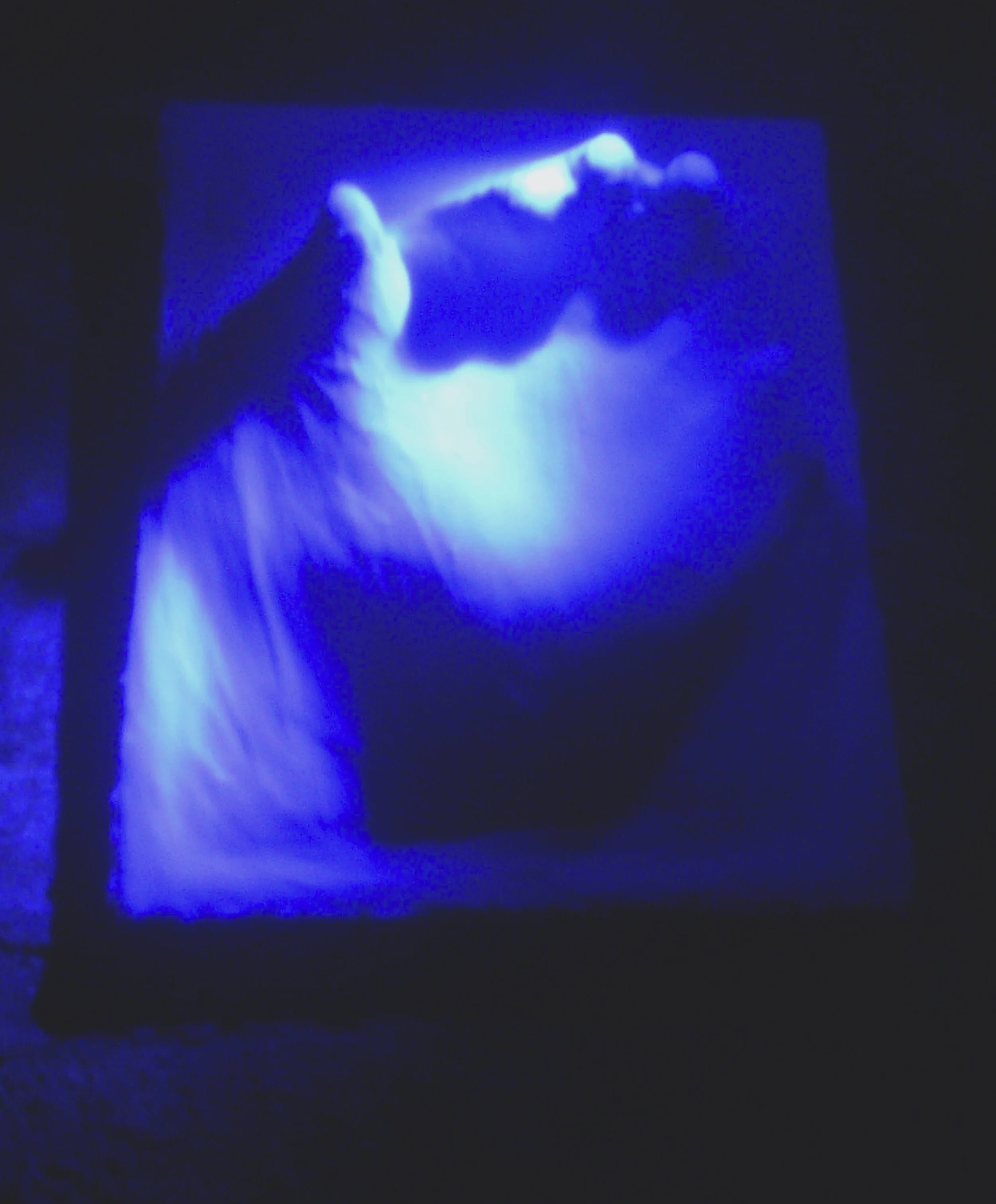 Jo Holt Lost Souls.jpg