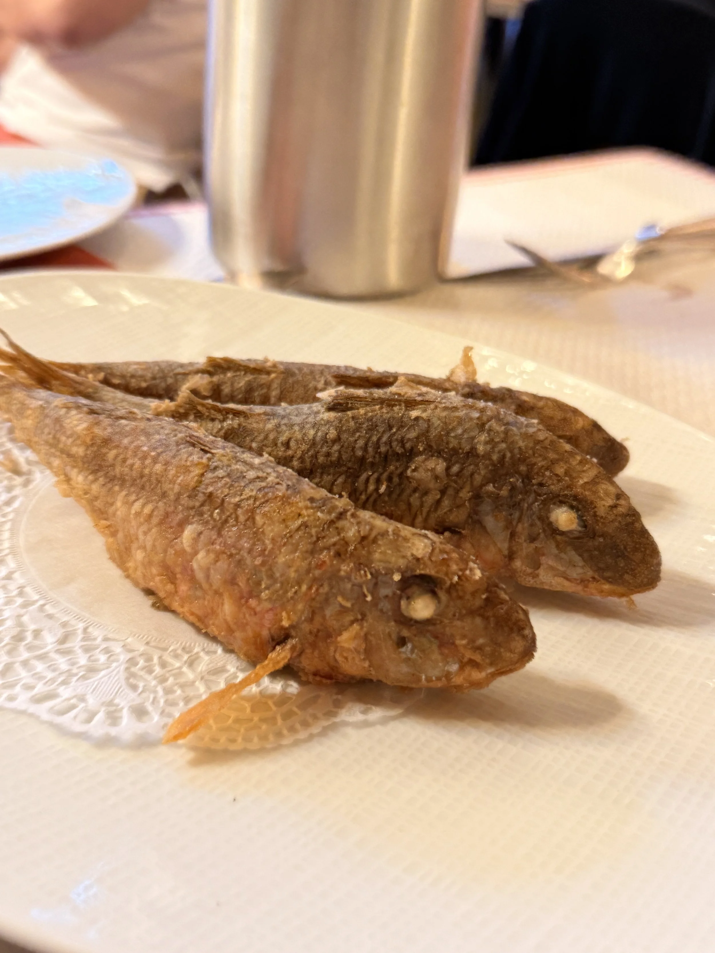 IMG_3241.jpeg