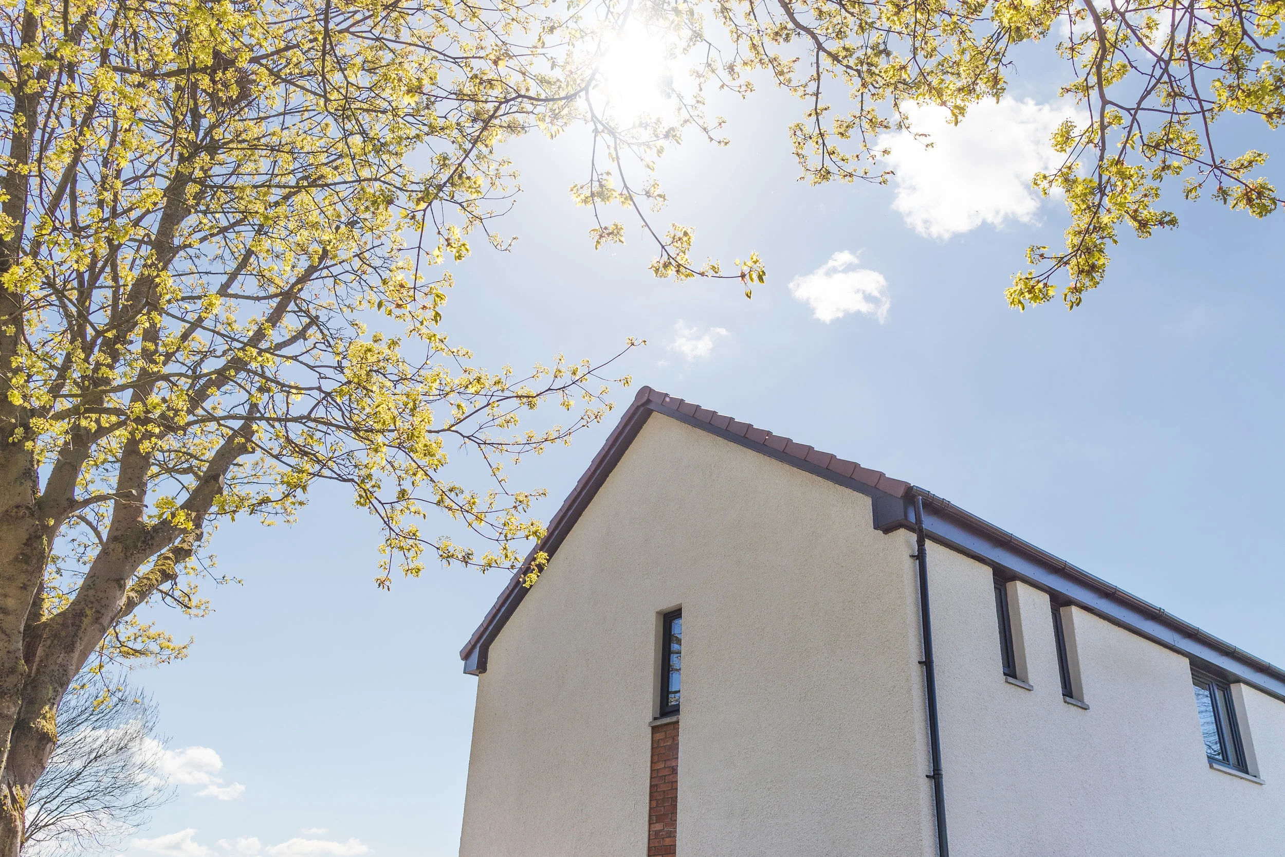 SPRING IS HERE! HAS IT ARRIVED IN YOUR HOME?