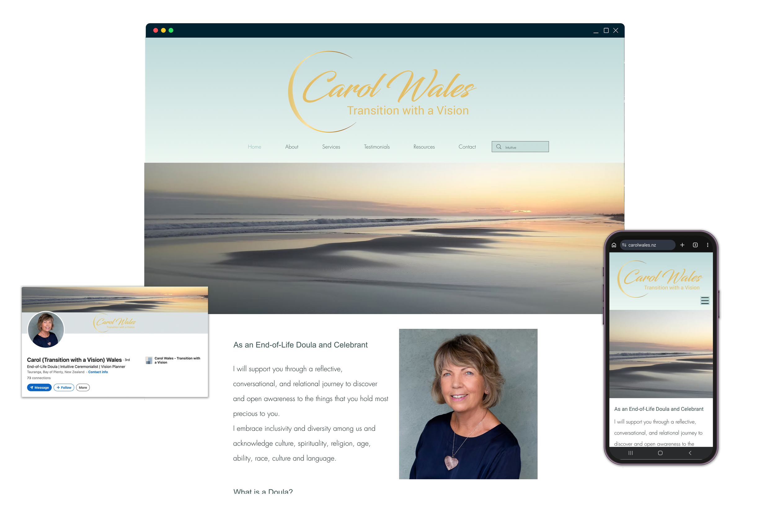 Pip Portfolio Carol Wales.png