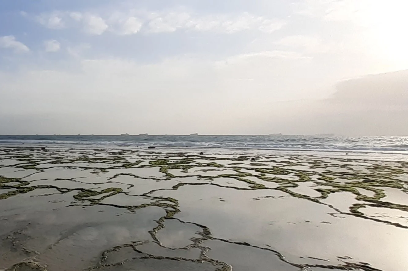 Rock pools Coco Beach, Low tide. Dar es Salaam.jpg