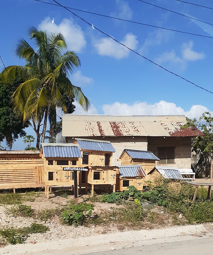 Chicken coops Kigamboni Dar es Salaam Tanzania.jpg