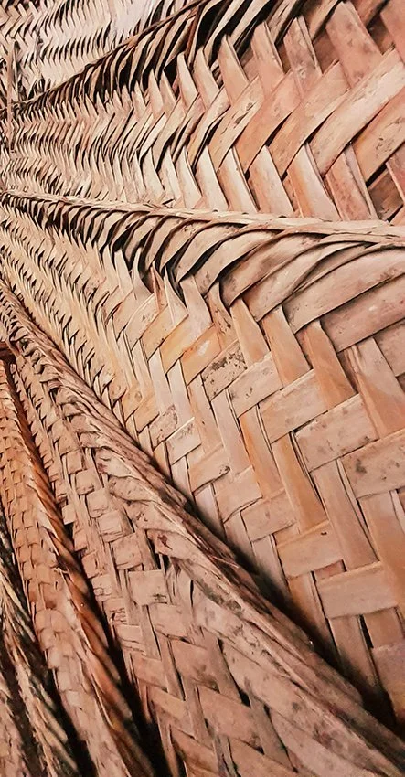 Palm Leaf fence Dar es Salaam.jpg