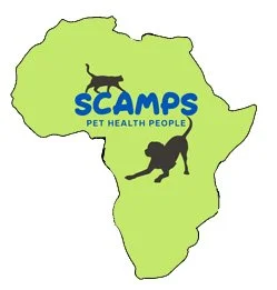 The website looks very professional and I like the colour choices. Thanks, Pippa — the website looks great. - Michelle