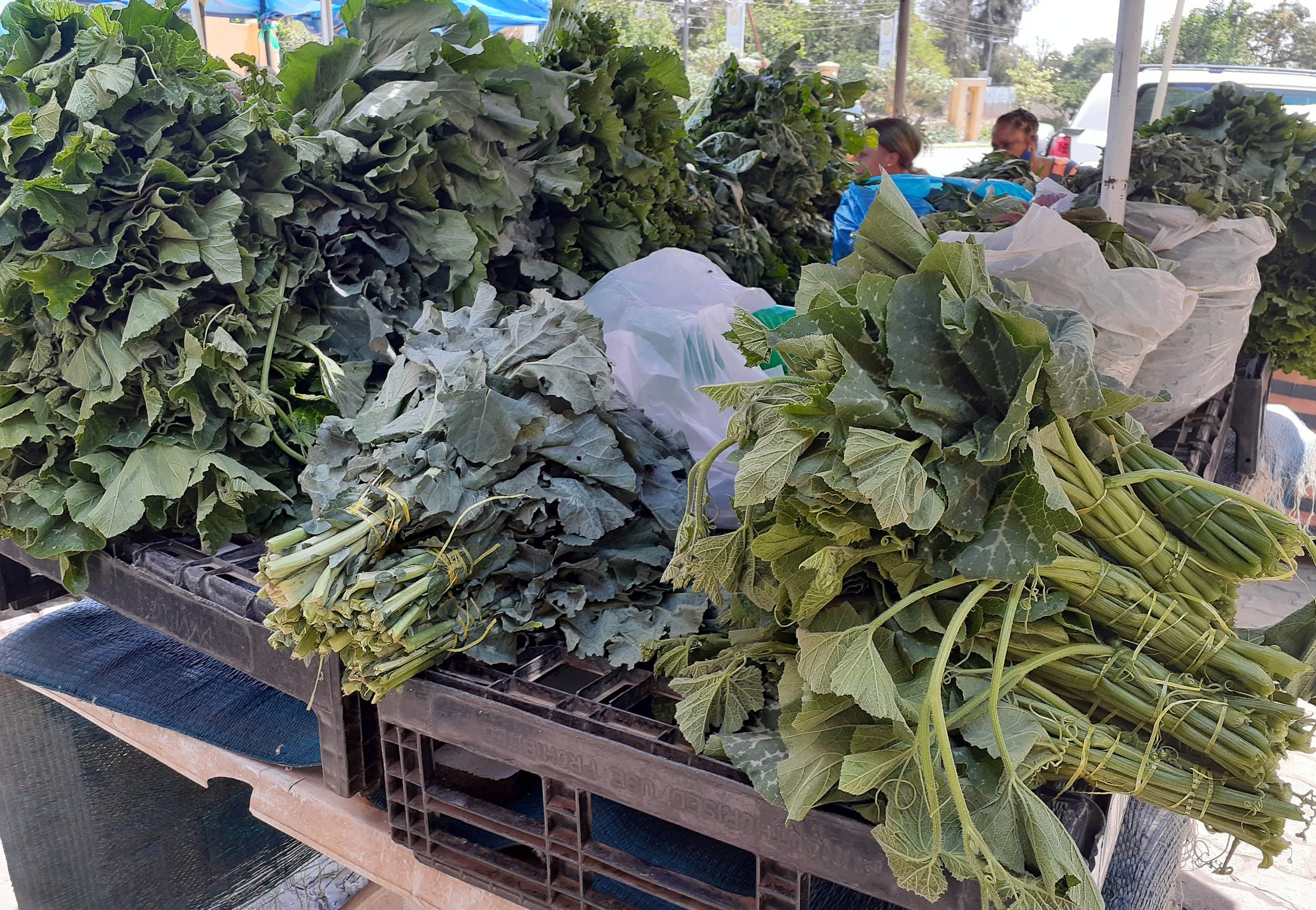 Fresh greens at market Lusaka Zambia.jpg